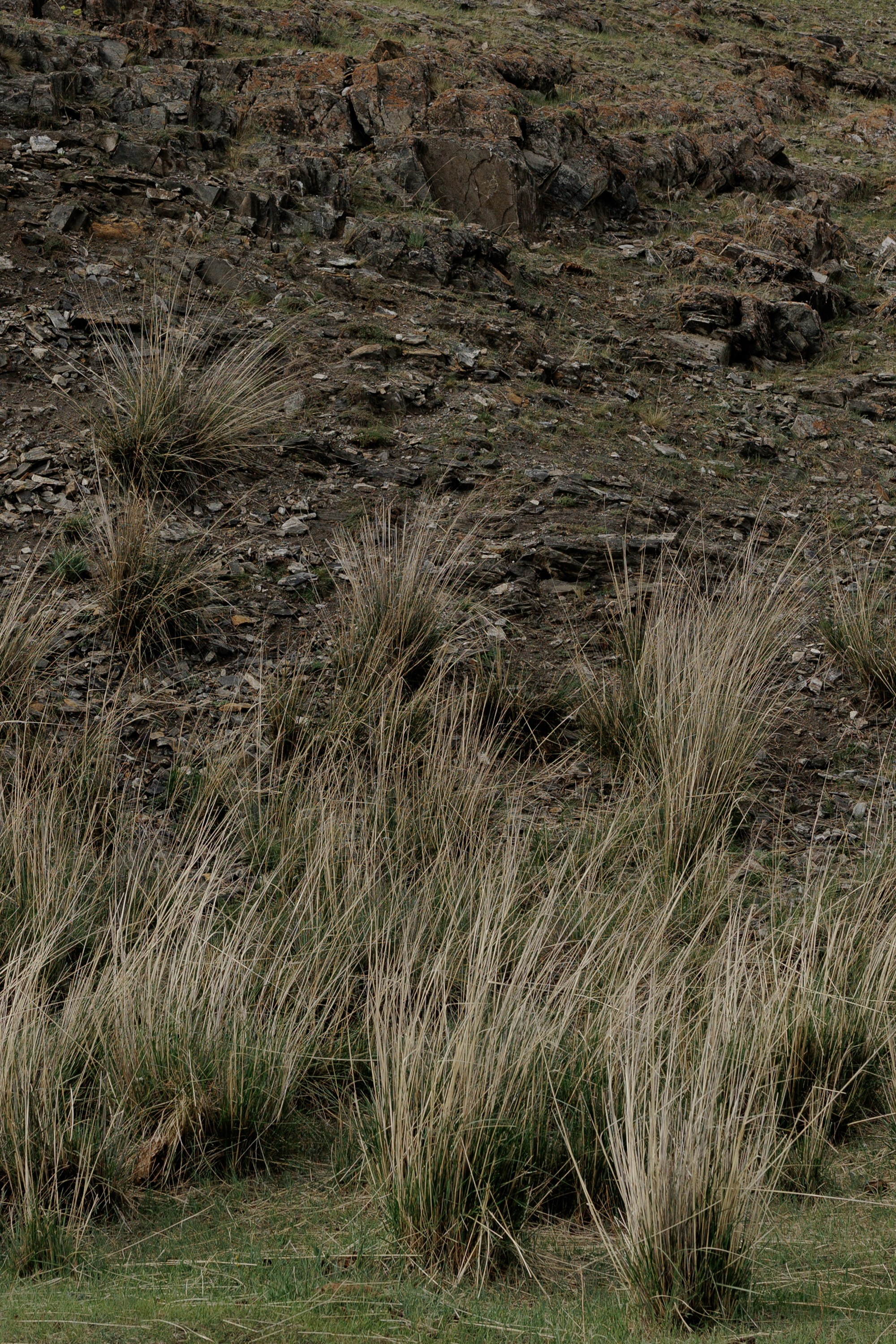 Ты, я и море. Свадебный фотограф