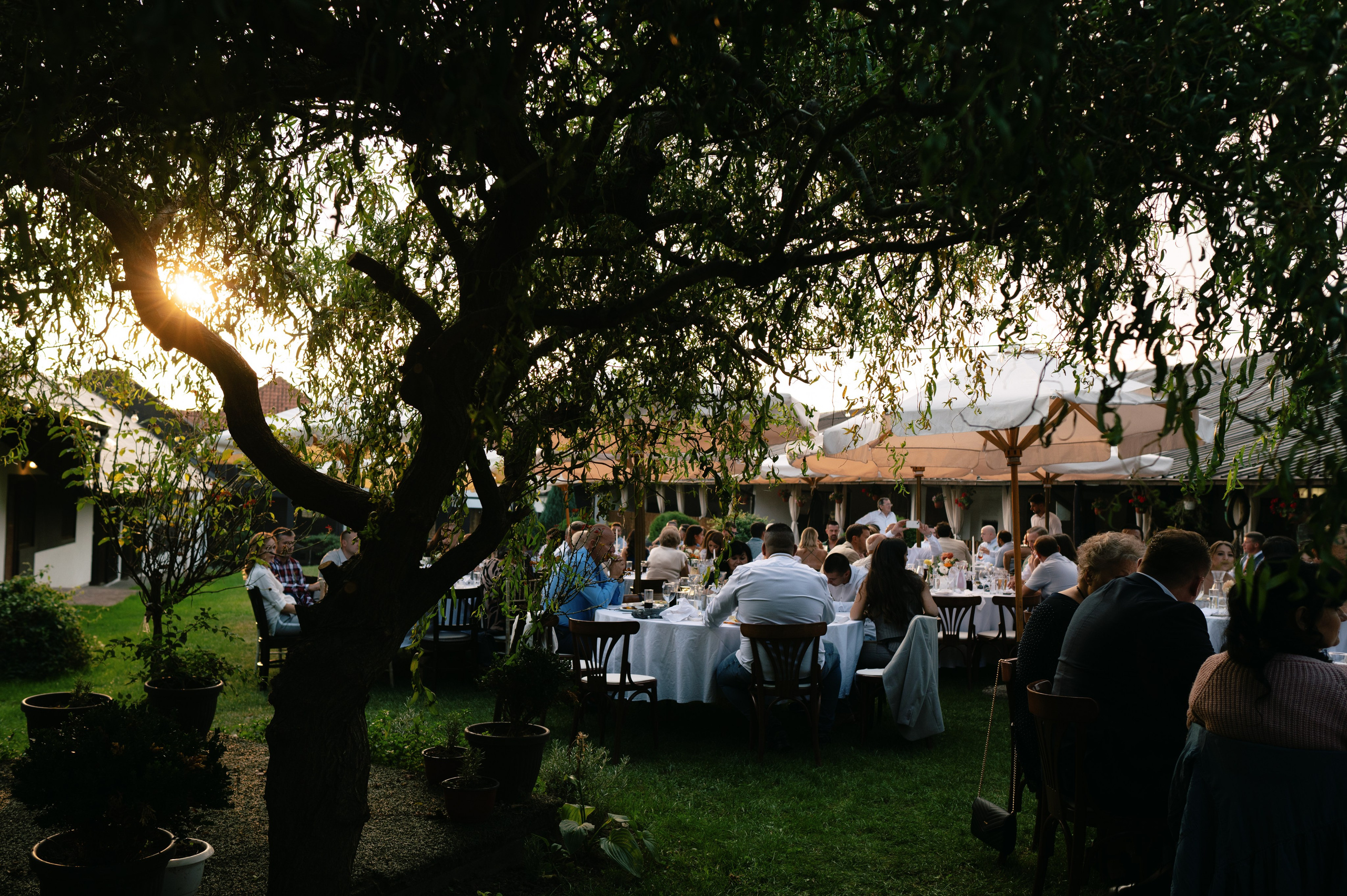 Wedding (Ranch Concept). Photographer Belgrade — Tsvetkova Maria