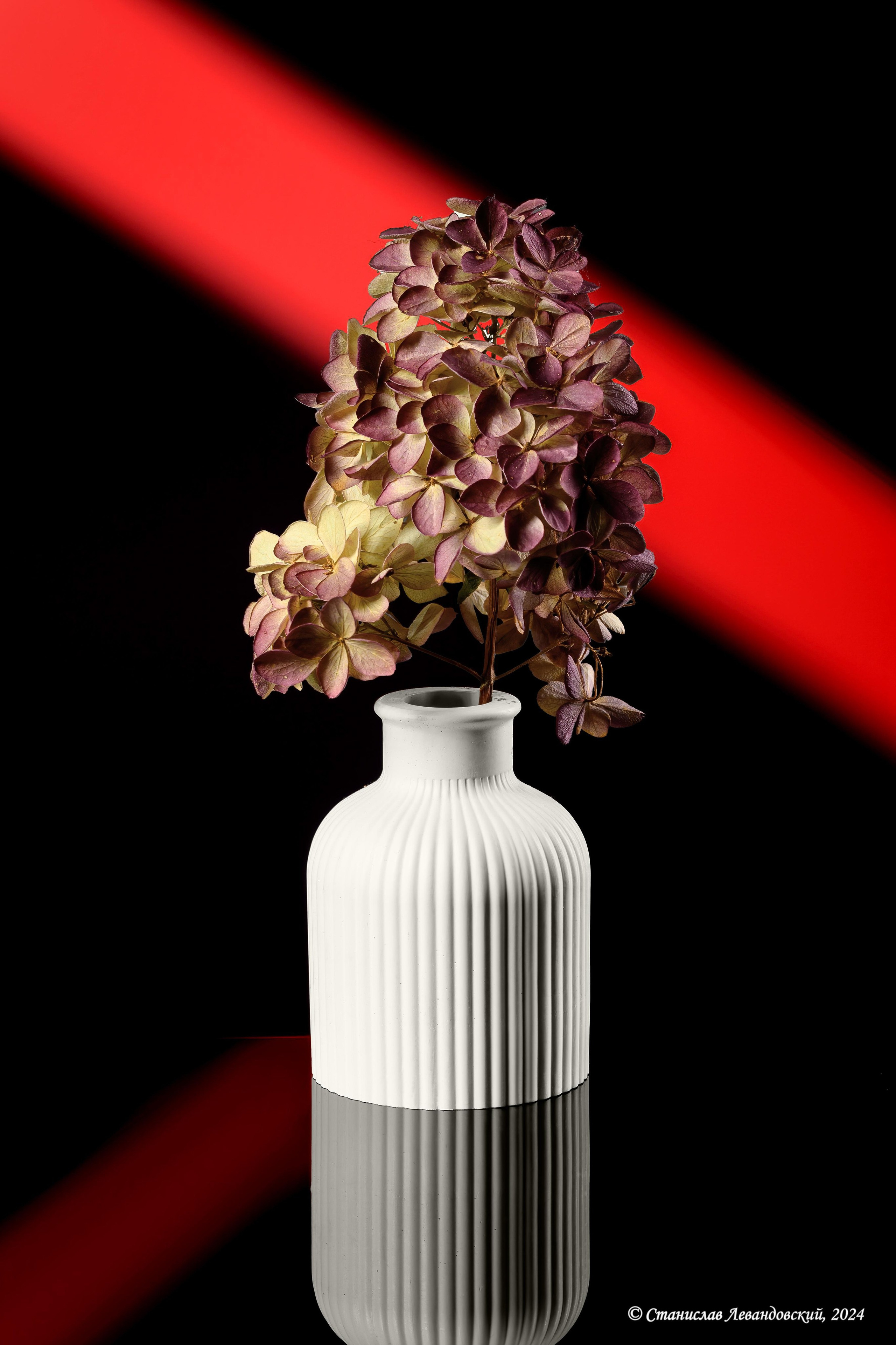 Предметы с матовой поверхностью. Предметный фотограф в Москве Станислав Левандовский