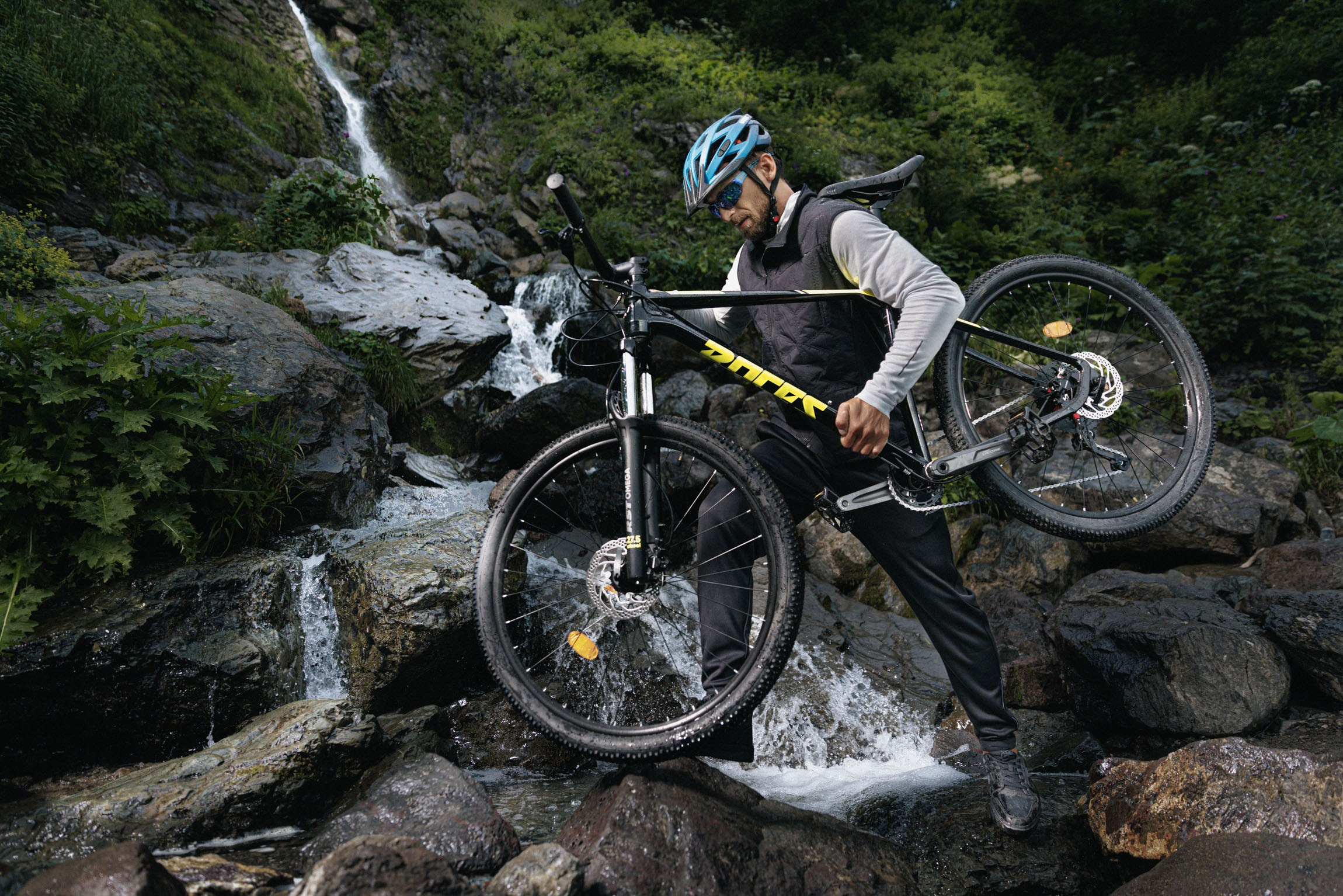 Lifestyle. Bivol images