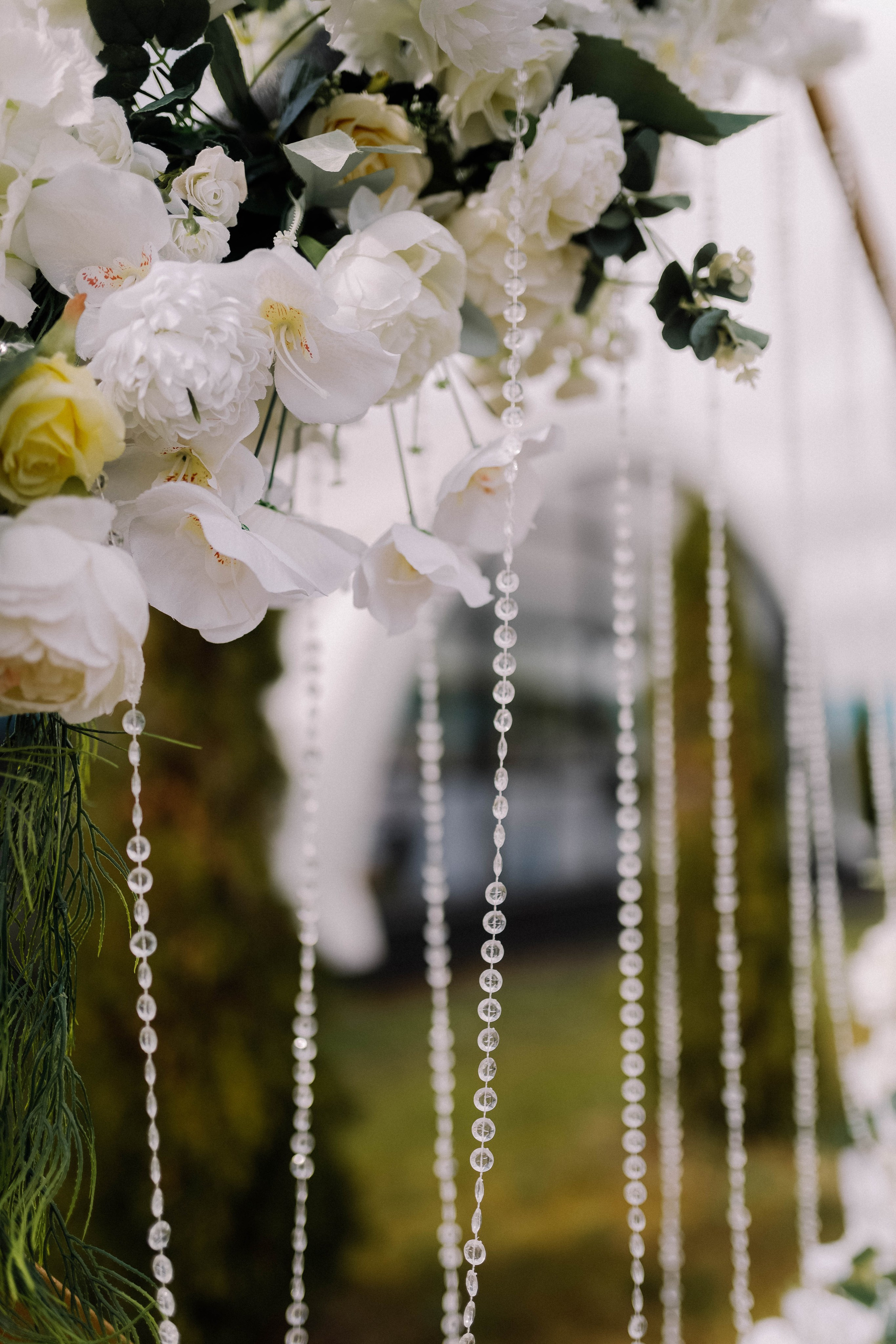 Даша и Дима. Фотограф Светлана Голицына