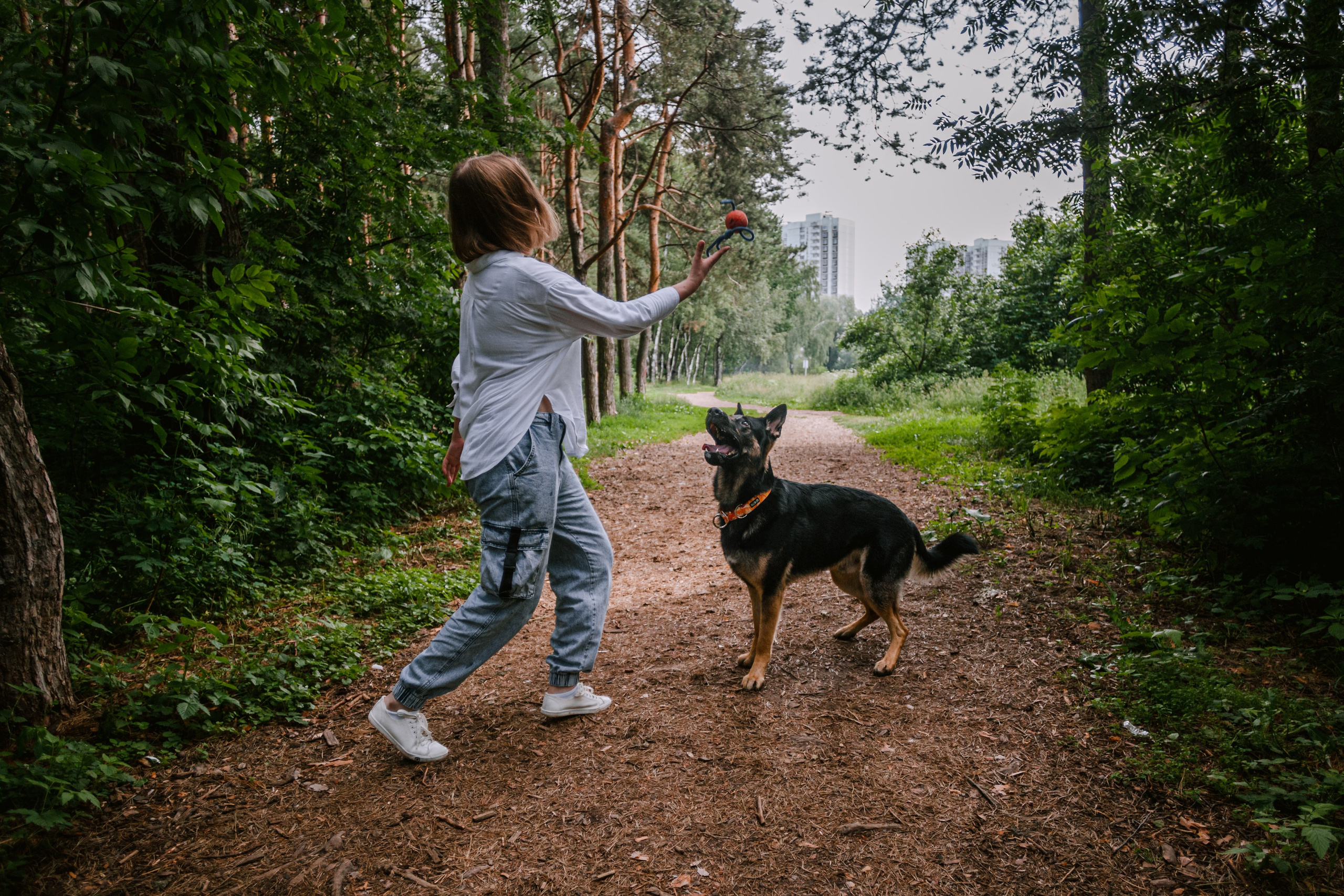 Лесная летняя фотопрогулка. Фотограф-анималист Татьяна Степанова