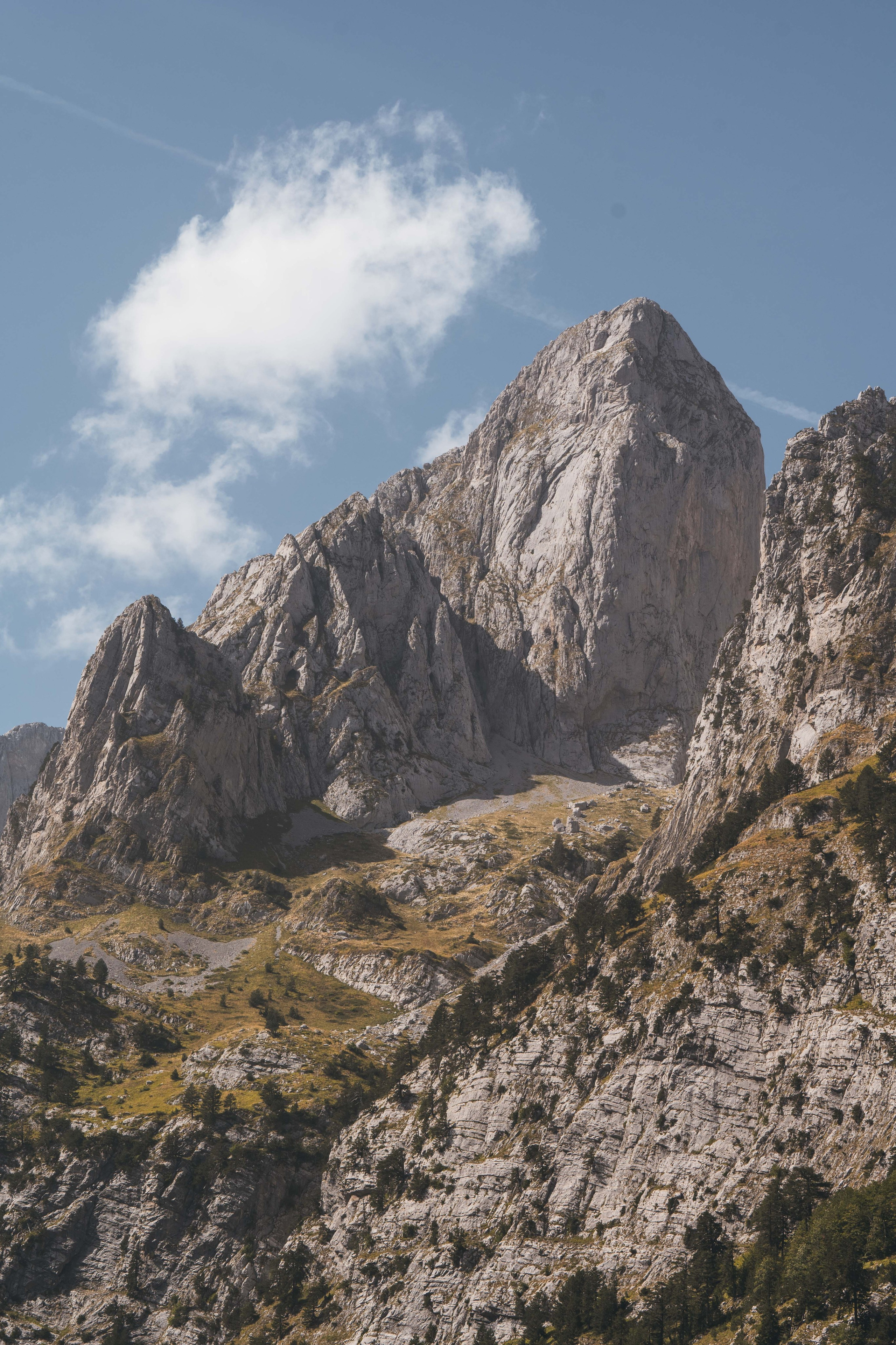 ДОЛИНА РАПОЯНА. ЧЕРНОГОРИЯ. Фотограф в Белграде Чугреева Елена