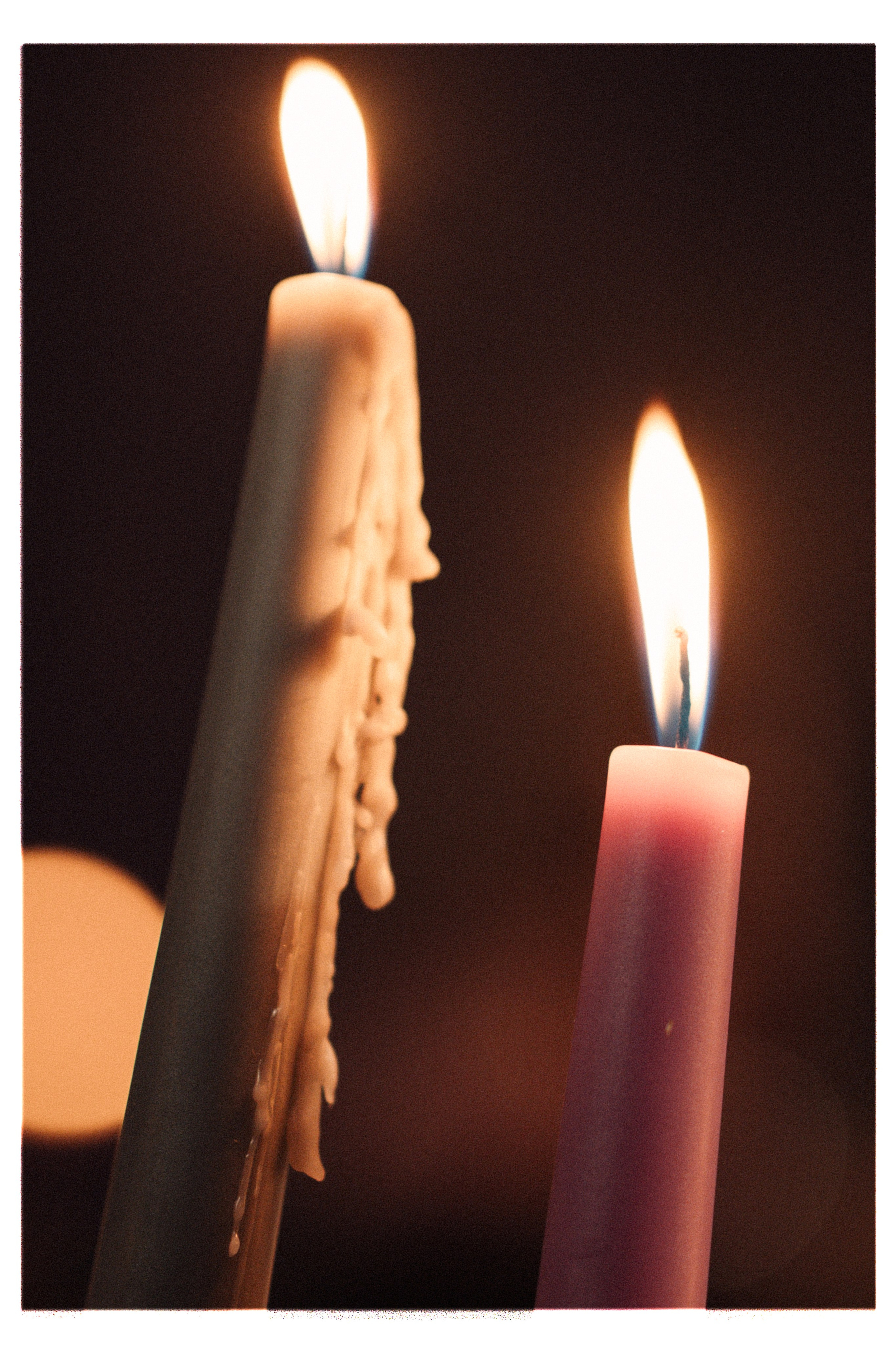 АЛЁНА И ДЕНИС. Свадебный и семейный фотограф Никита Корохов