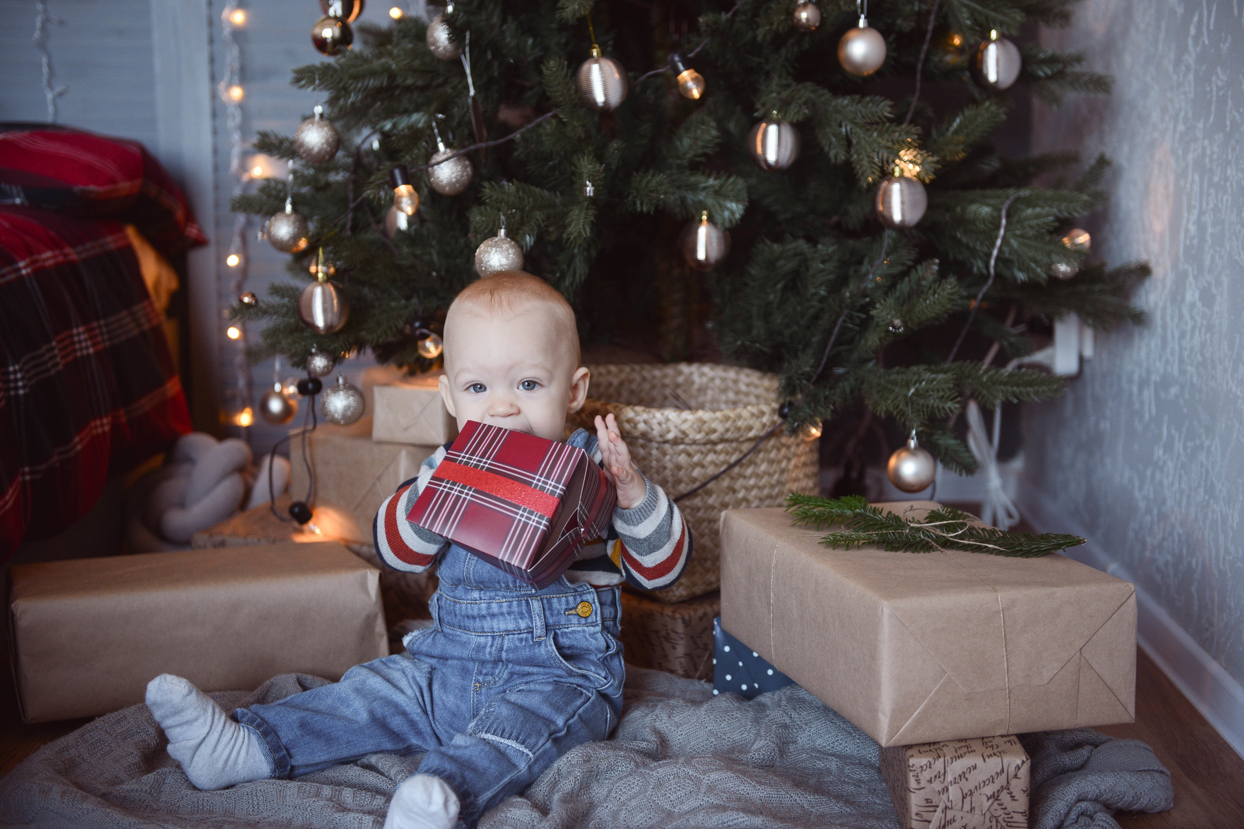 Мишка. Lifestyle фотограф