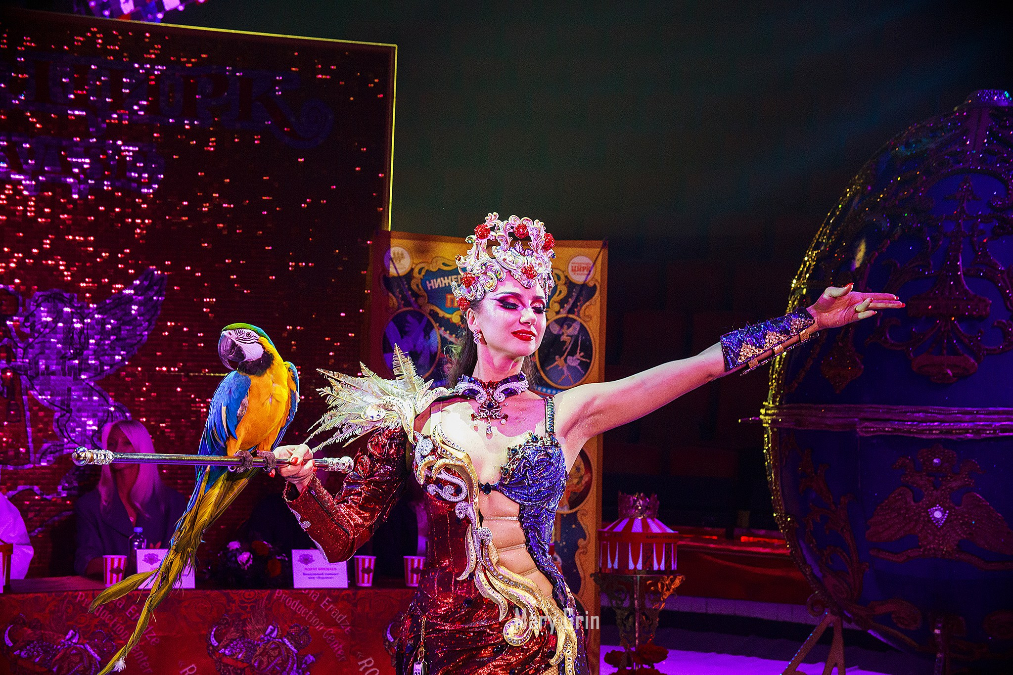 Цирк Гии Эрадзе. Детский и семейный фотограф, фотограф мероприятий Нижний Новгород