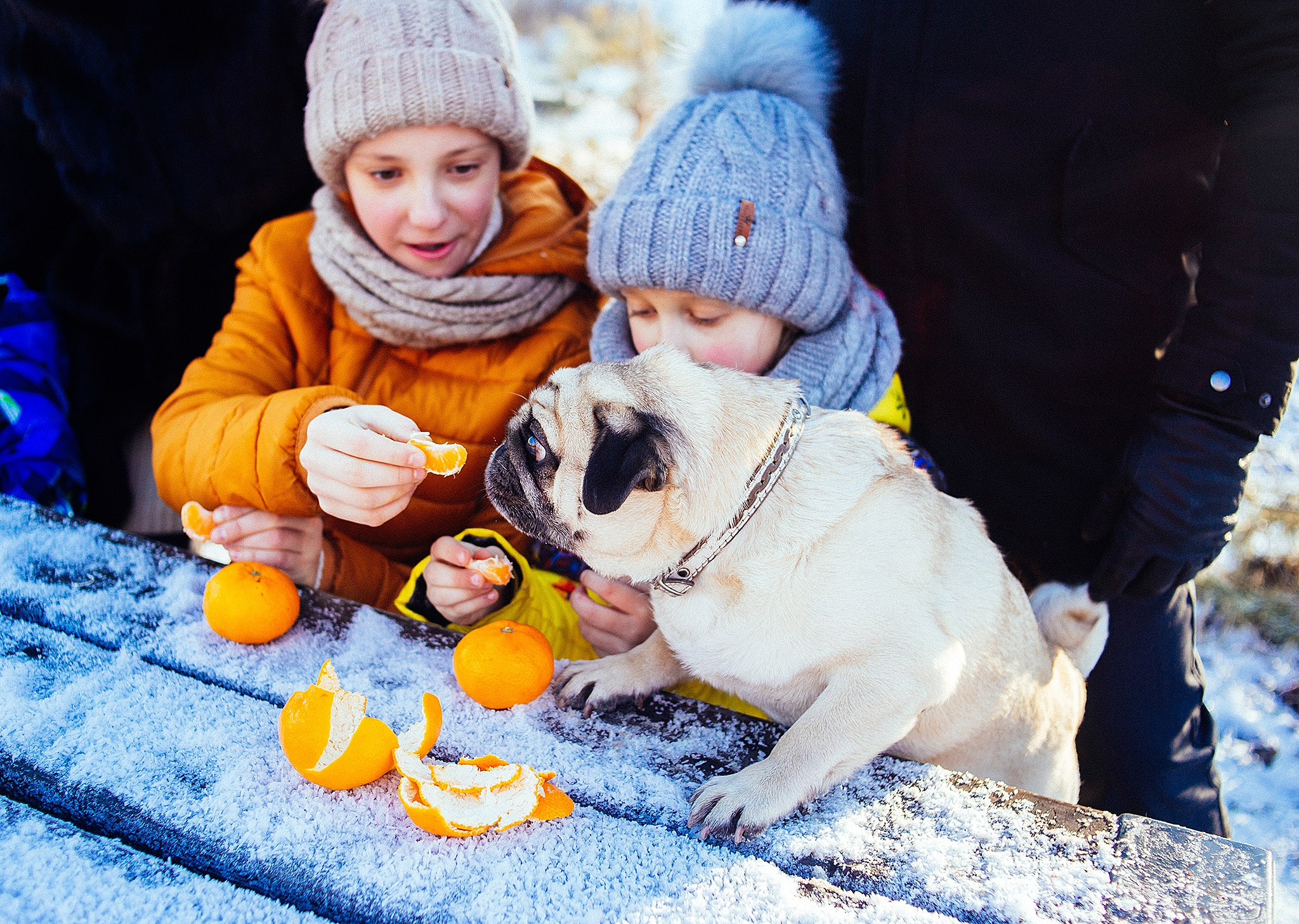 Зимняя фотопрогулка на мещерском озере с мандаринами. Детский и семейный фотограф, фотограф мероприятий Нижний Новгород