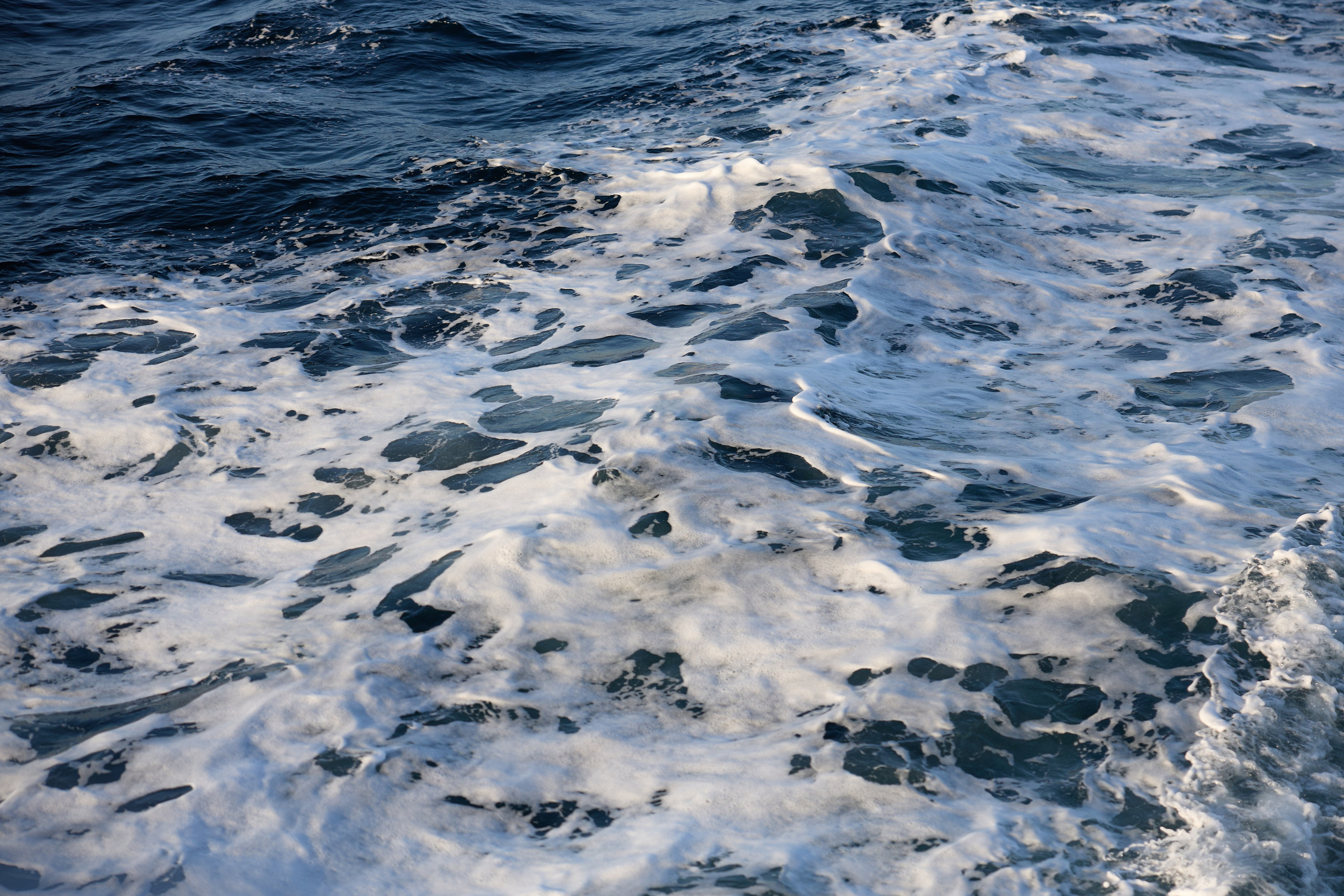 Стамбул 24. Фотограф Москва, Дима Пеллер