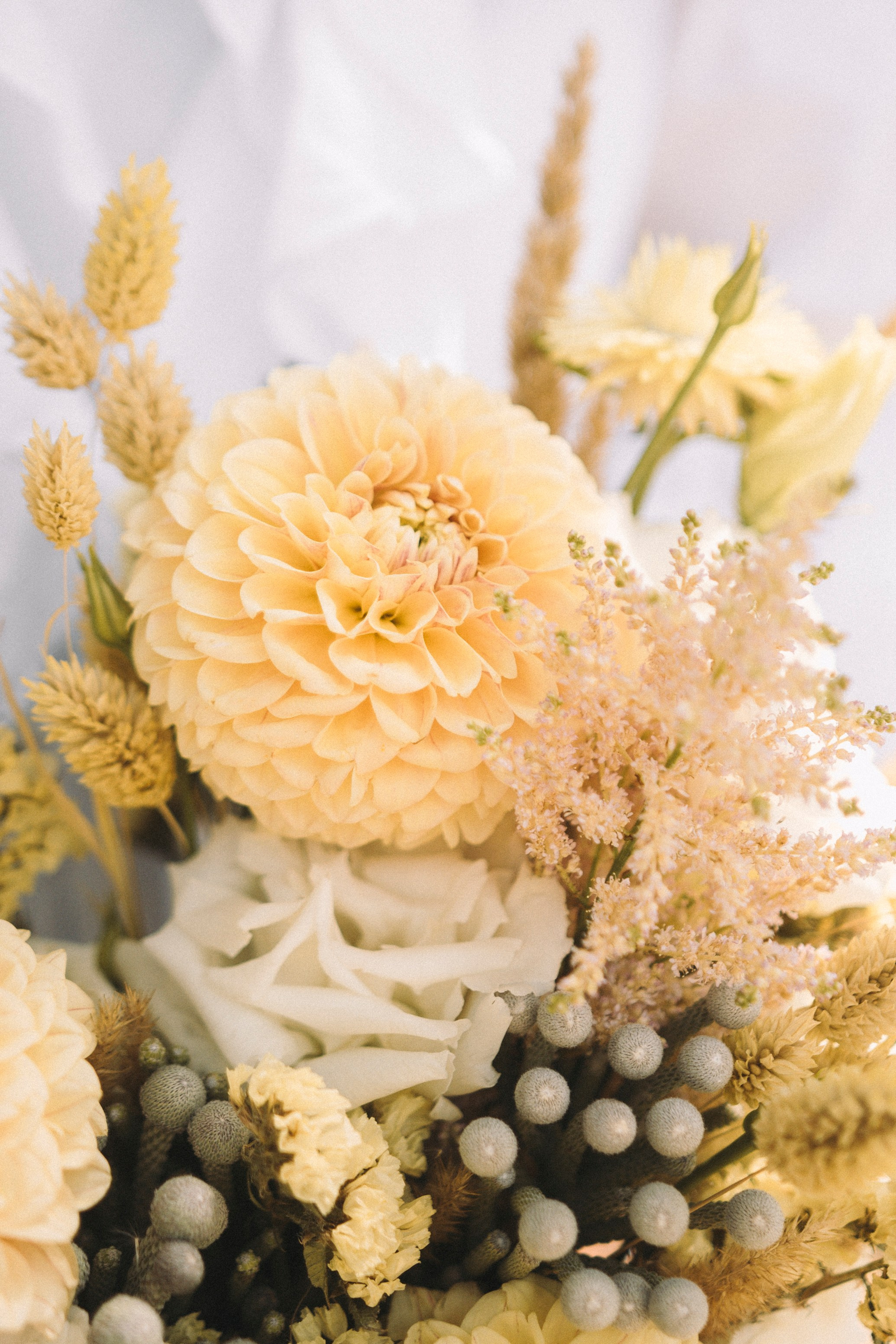 TIGRAN & VICTORIA | KISLOVODSK. Фотограф Настя Конник | Пятигорск | Эльбрус | Домбай | Архыз