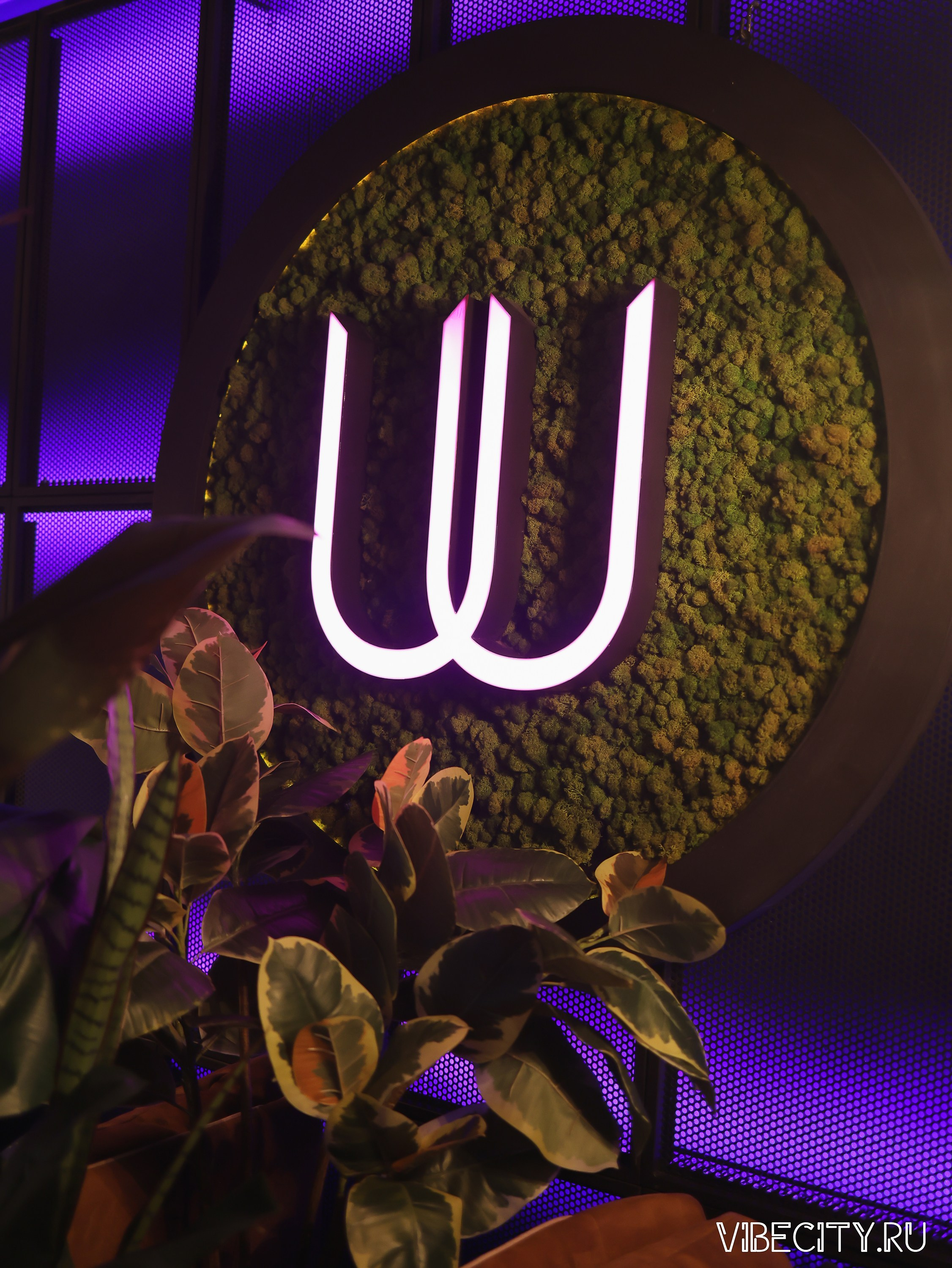 DOUBLE U. VIBECITY.RU Вайб Сити Ру Фоторепортажи Фотоотчеты Калининград