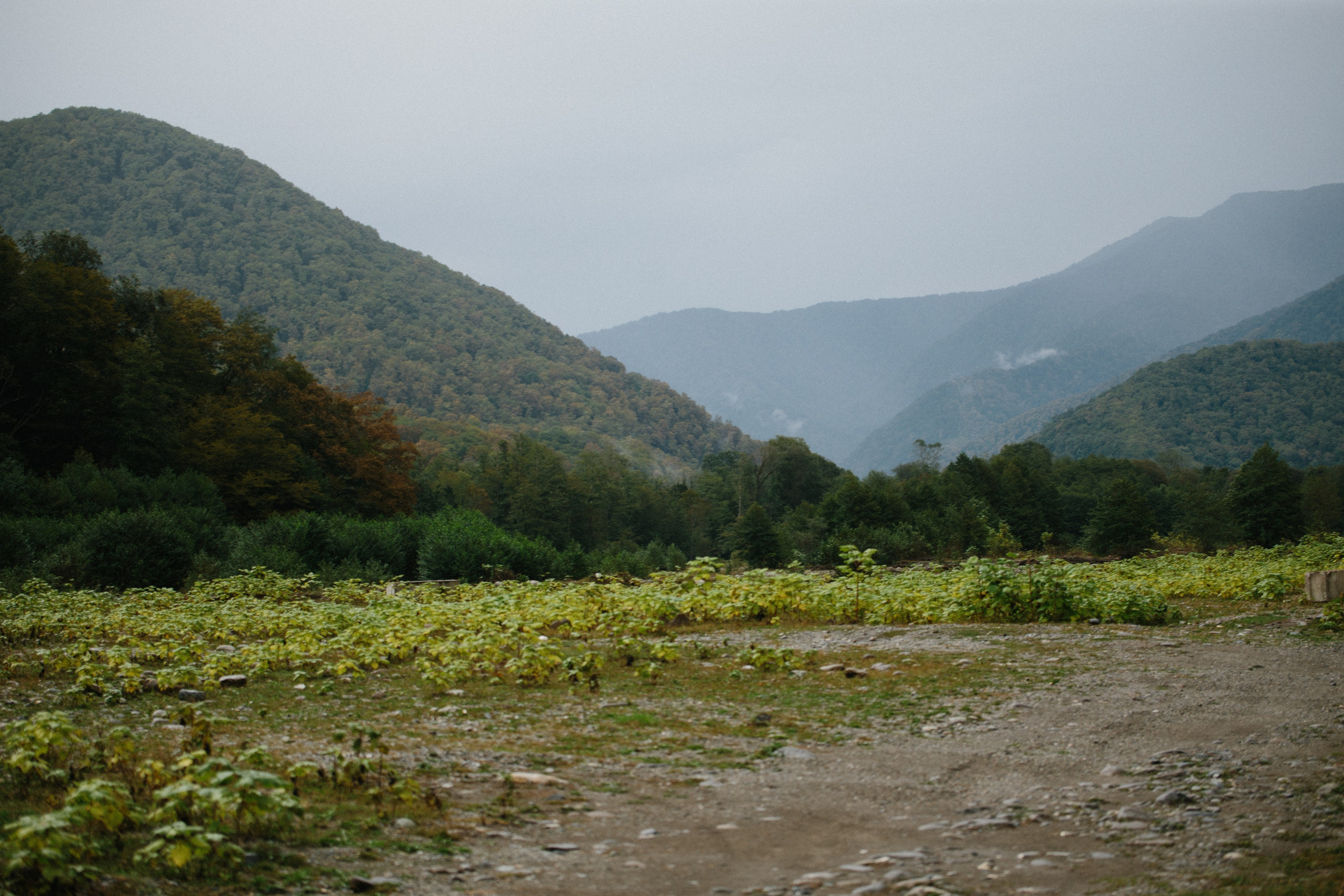 Оштенский Кордон. Семейный фотограф в Белгороде