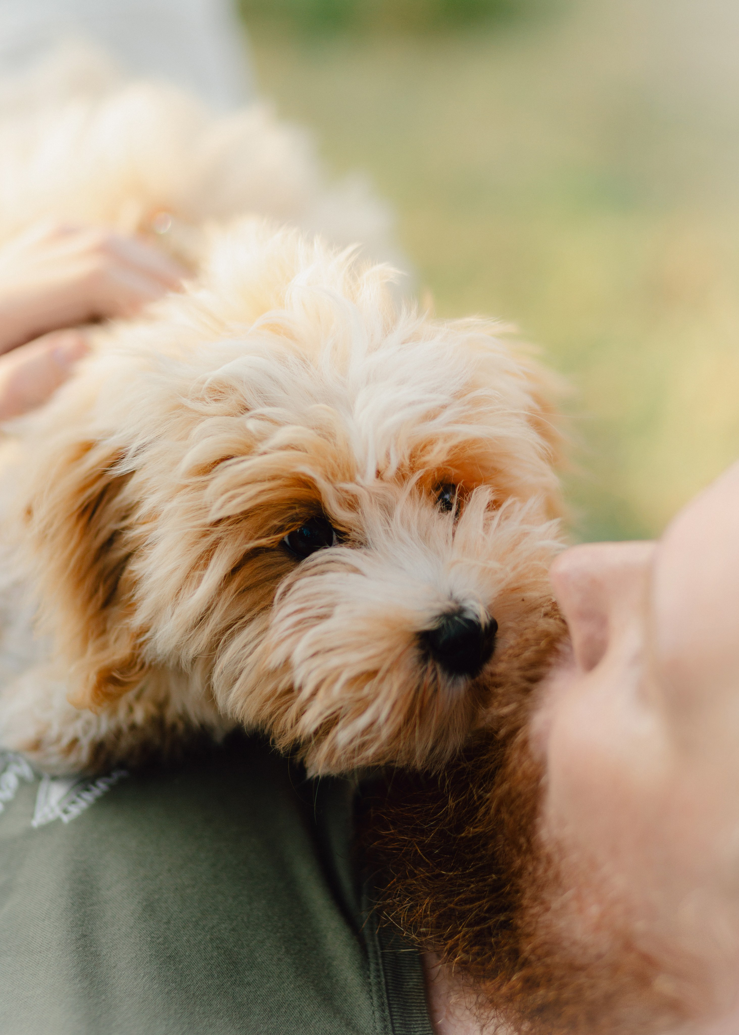 J&J Family. Barbara Isaeva