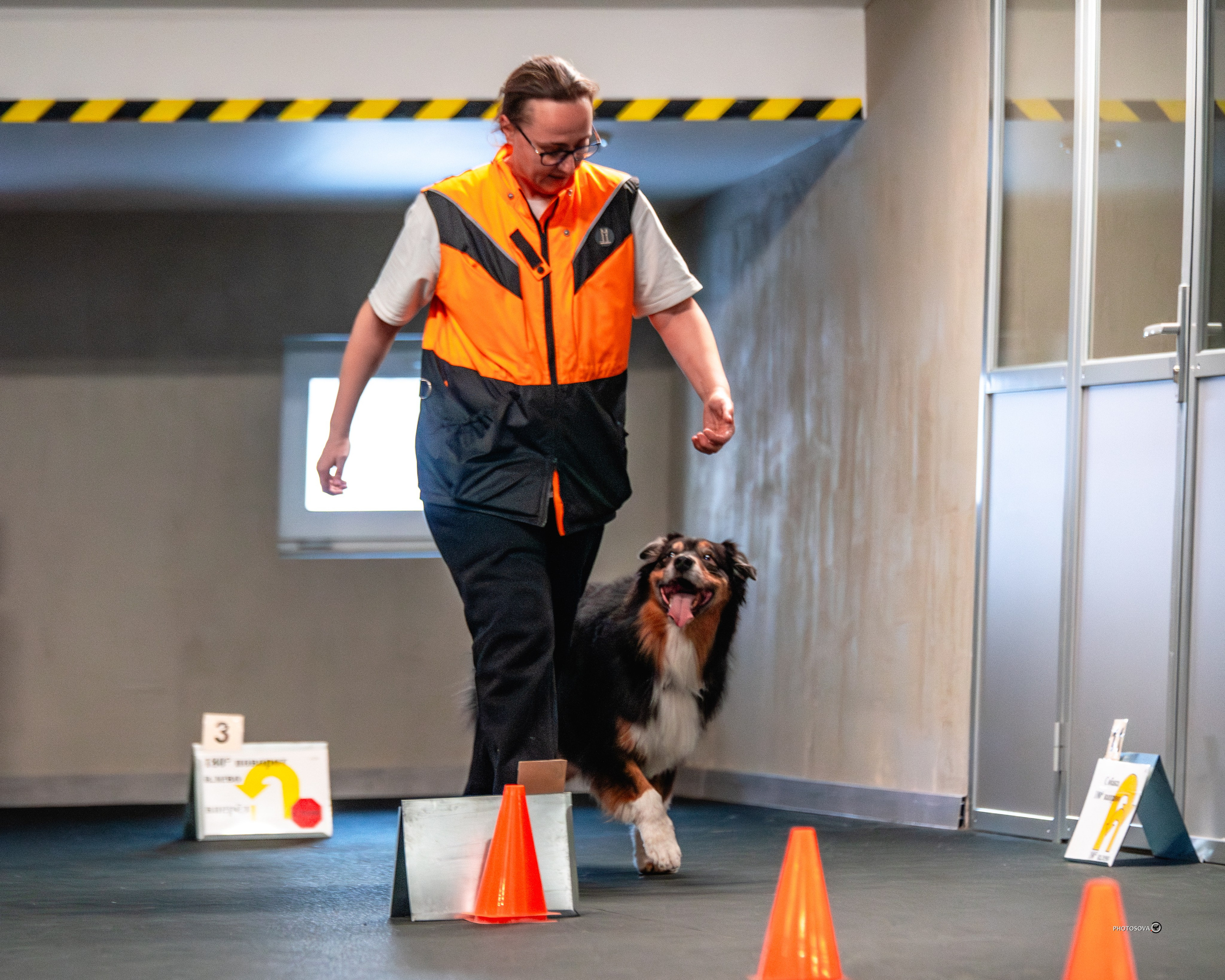 ТЫ И Я (соревнования по ралли-обидиенс). Фотограф-анималист, семейный фотограф в Москве и Подмосковье. Фотосъёмка кинологических дисциплин