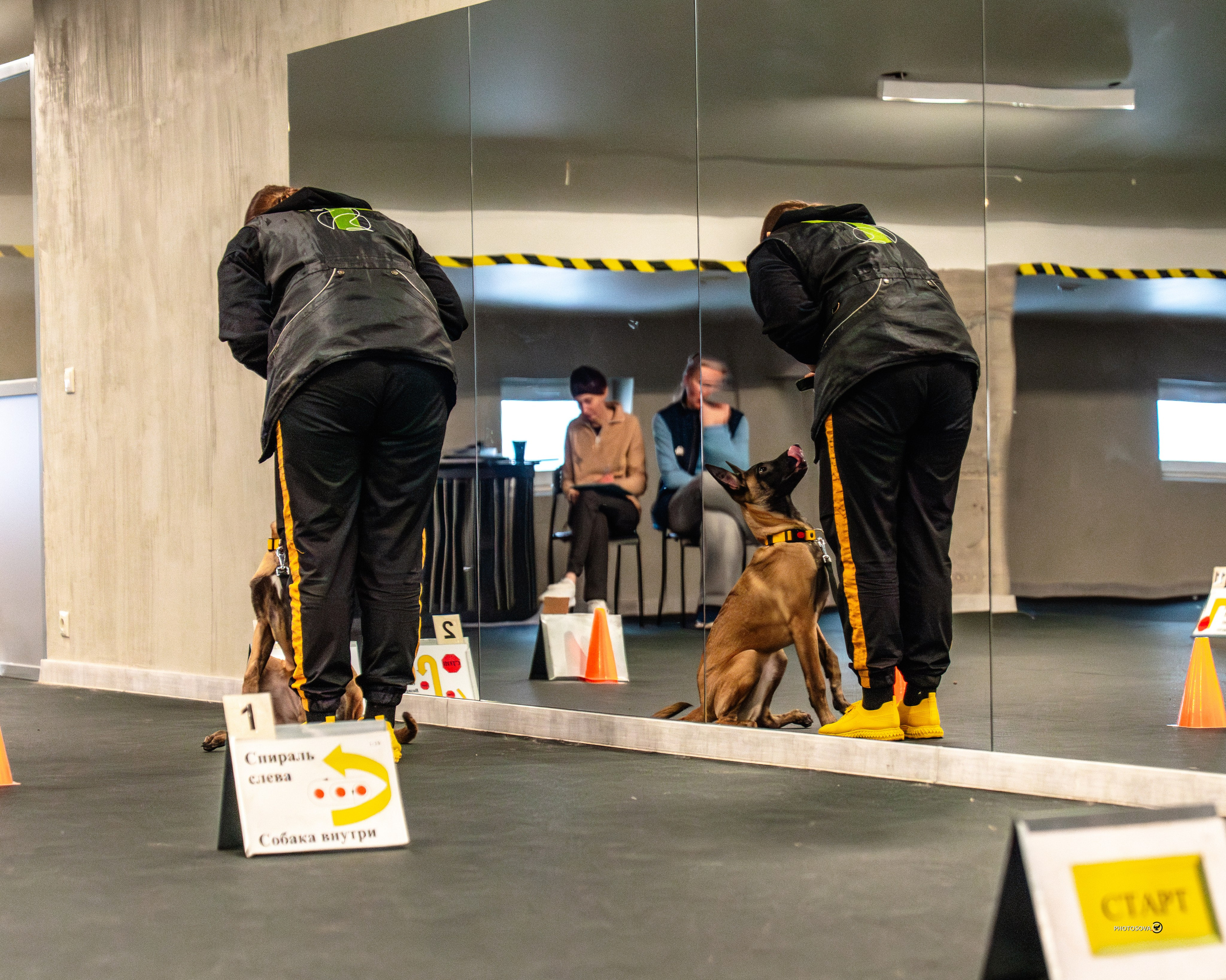 ТЫ И Я (соревнования по ралли-обидиенс). Фотограф-анималист, семейный фотограф в Москве и Подмосковье. Фотосъёмка кинологических дисциплин