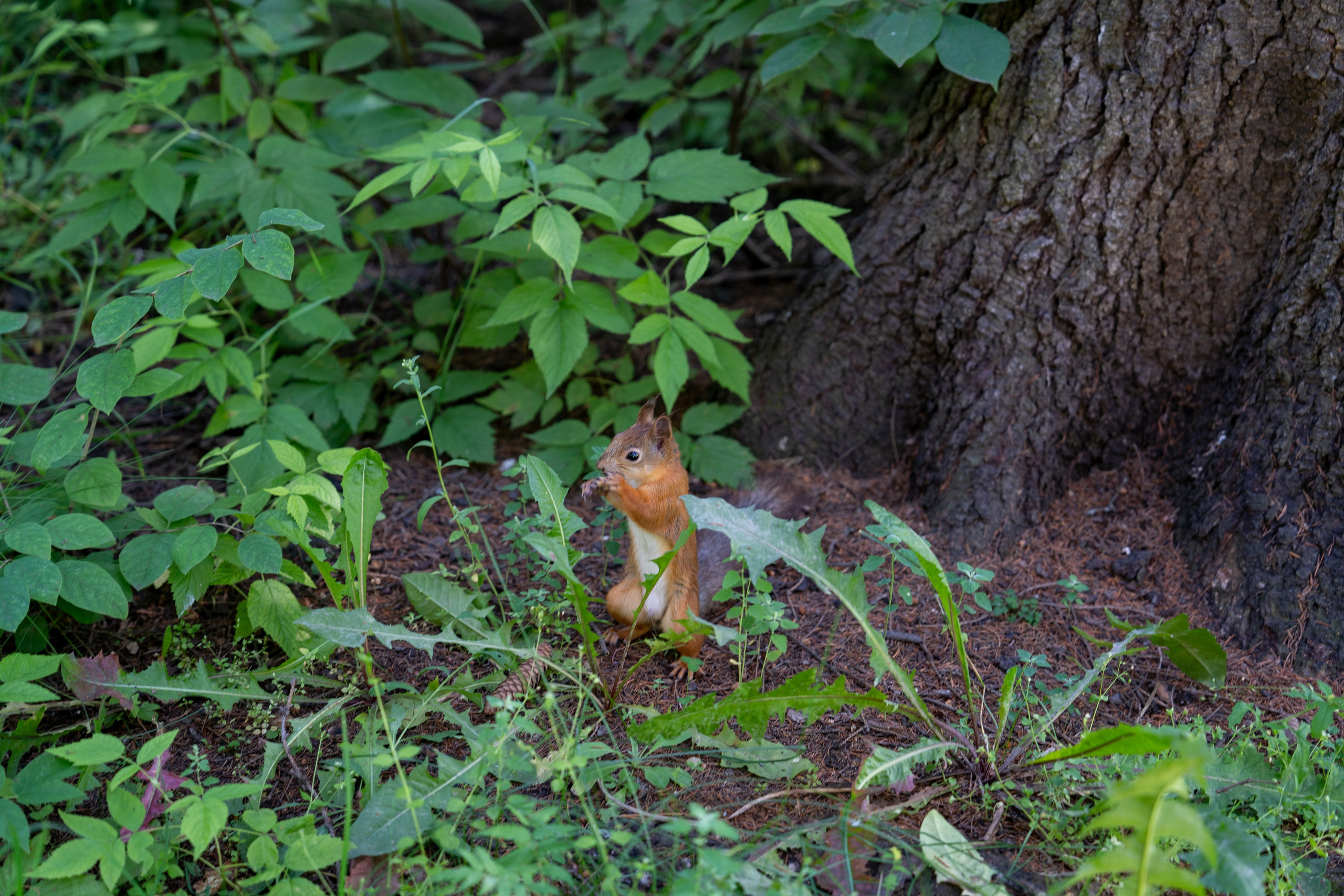 Серёжа и Юля. Фотограф Наталья Сорока Ижевск