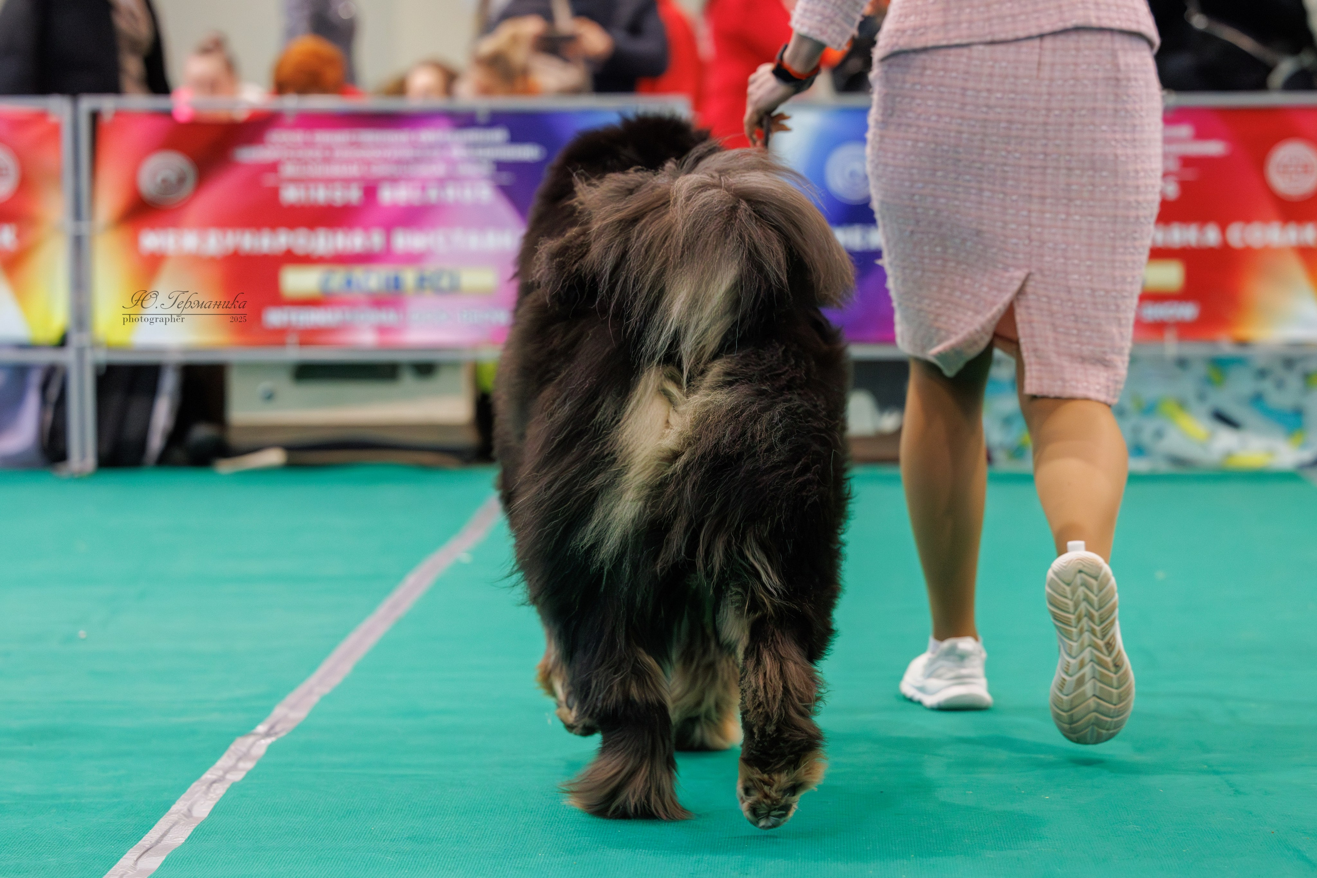 Минск 1-2.03.2025. Фотограф-анималист Юлия Германика