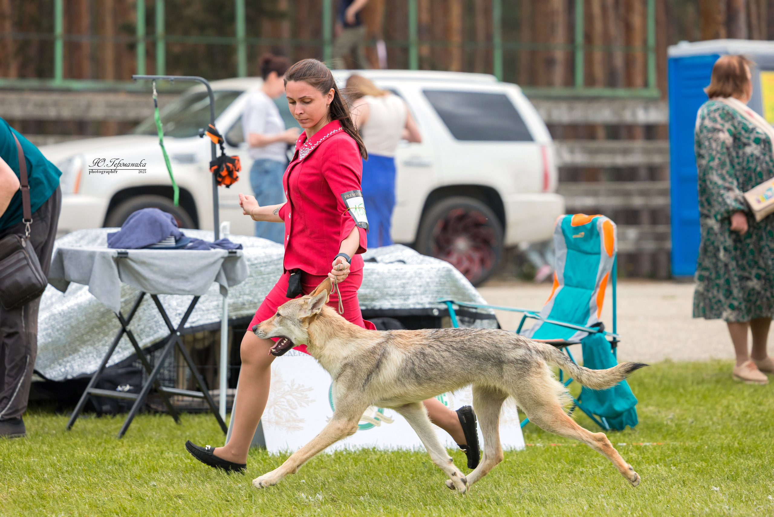 Суздаль(Владимир)17-18.05.2025. Фотограф-анималист Юлия Германика