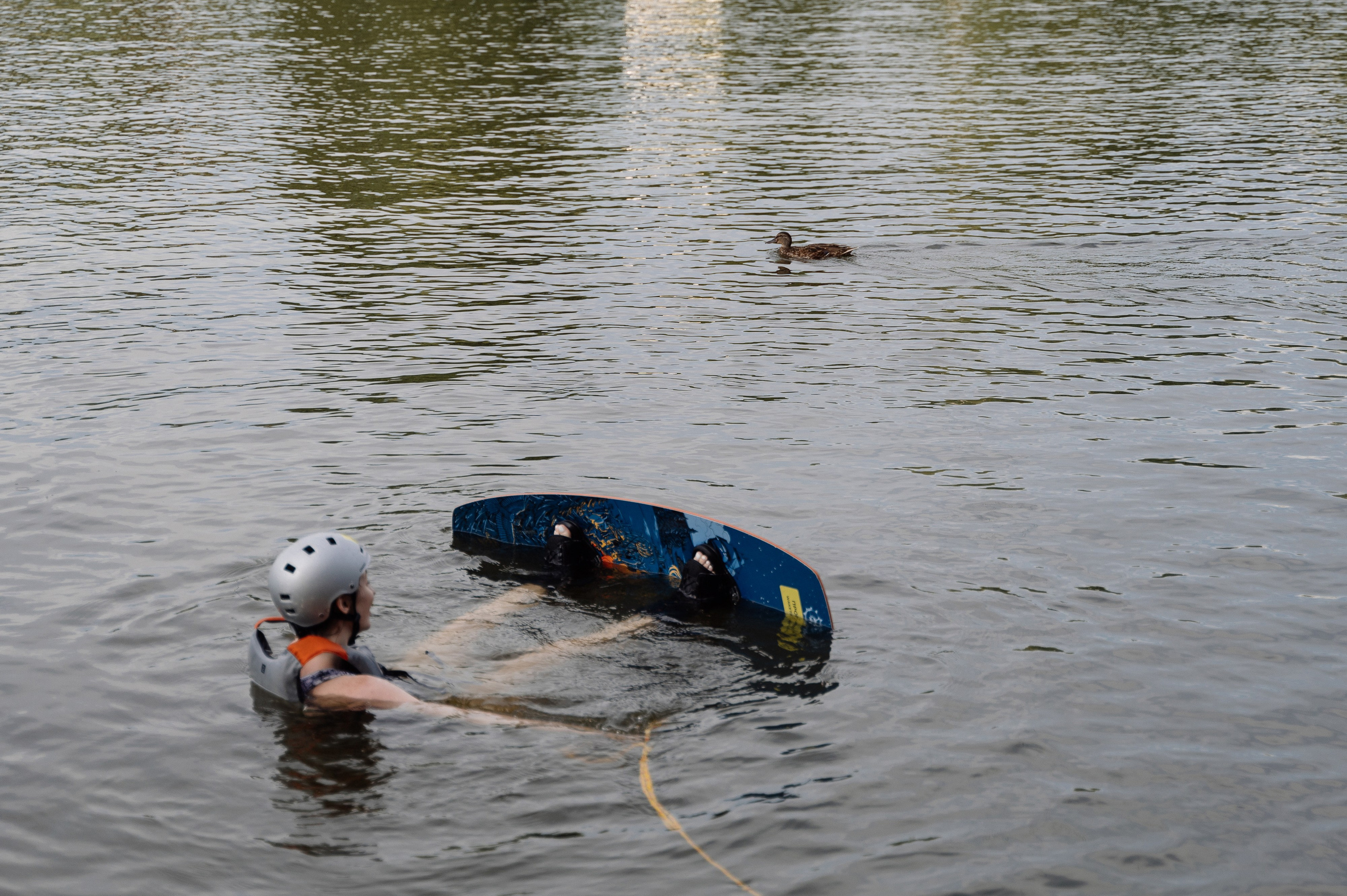Yandex. Свадебный фотограф Минск