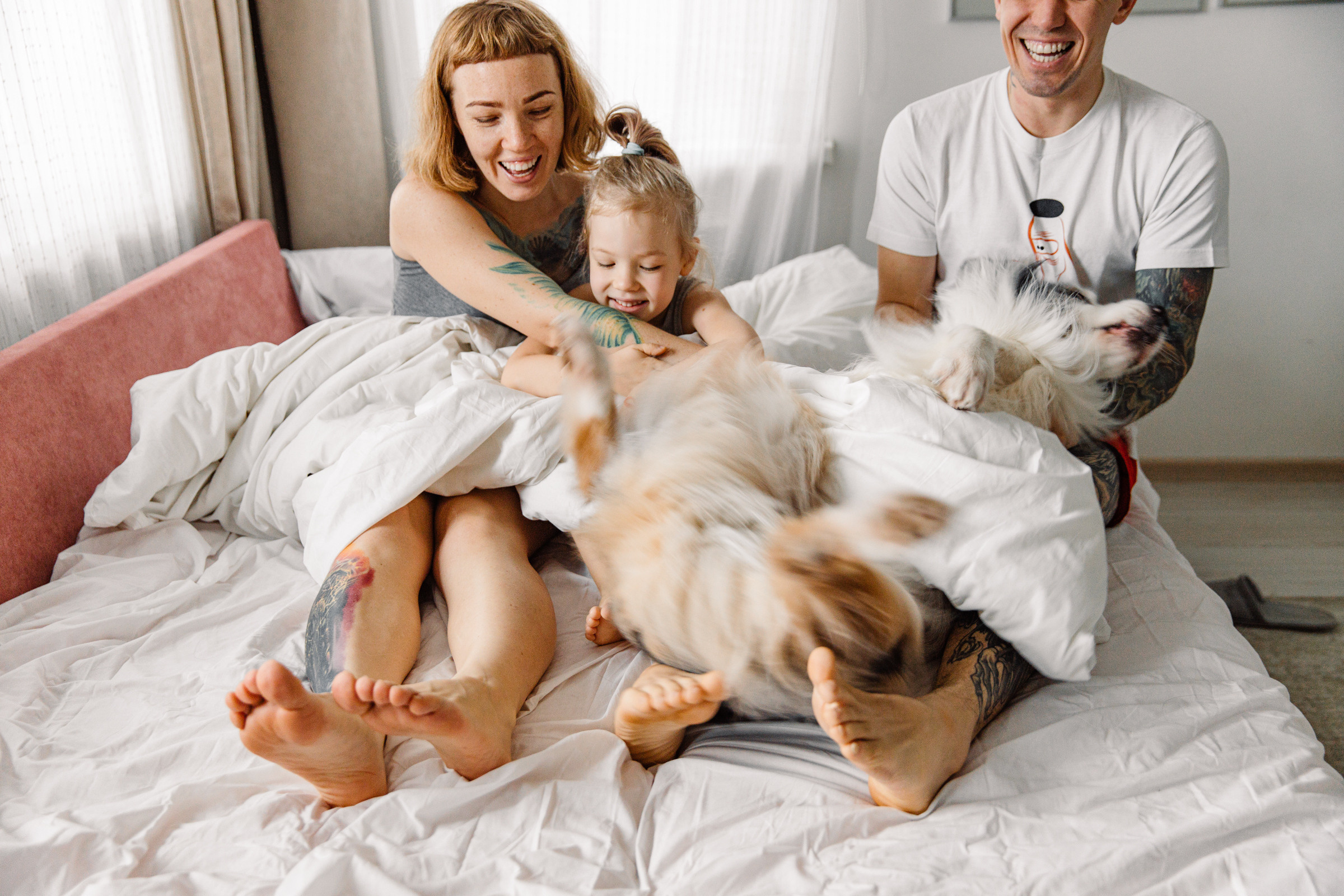 Трое в кровати не считая Джози и кота