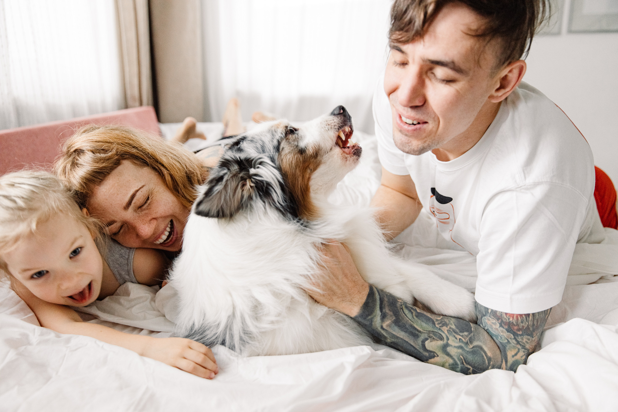 Трое в кровати не считая Джози и кота