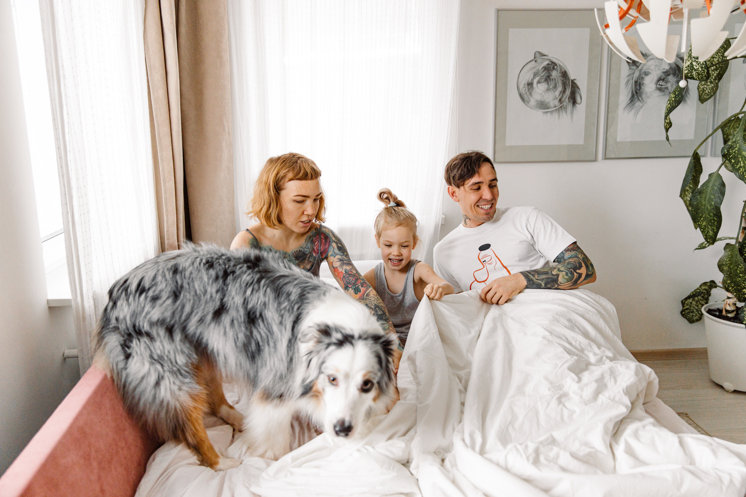 Трое в кровати не считая Джози и кота