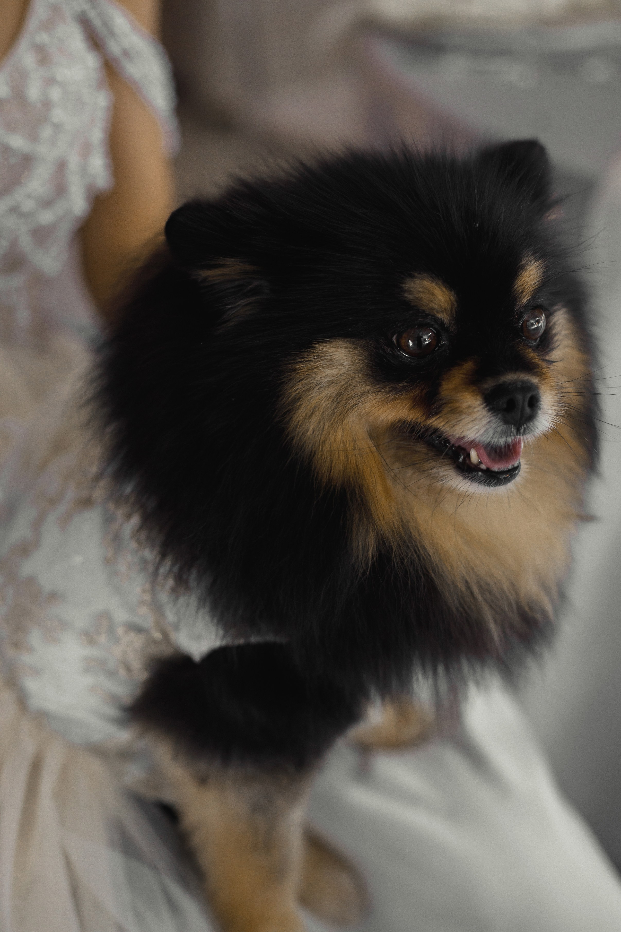 A|T. Свадебный и семейный фотограф в Саратове Анжела Борисова