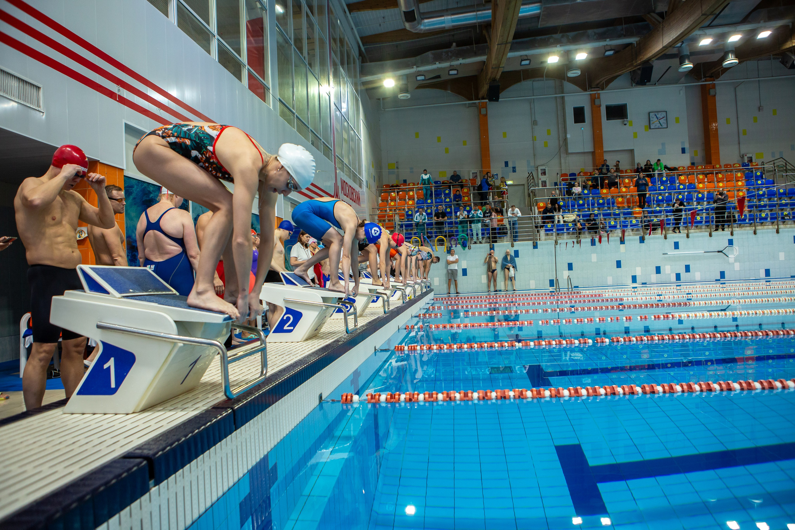 Турнир по плаванию. Репортажный, семейный, свадебный, портретный фотограф