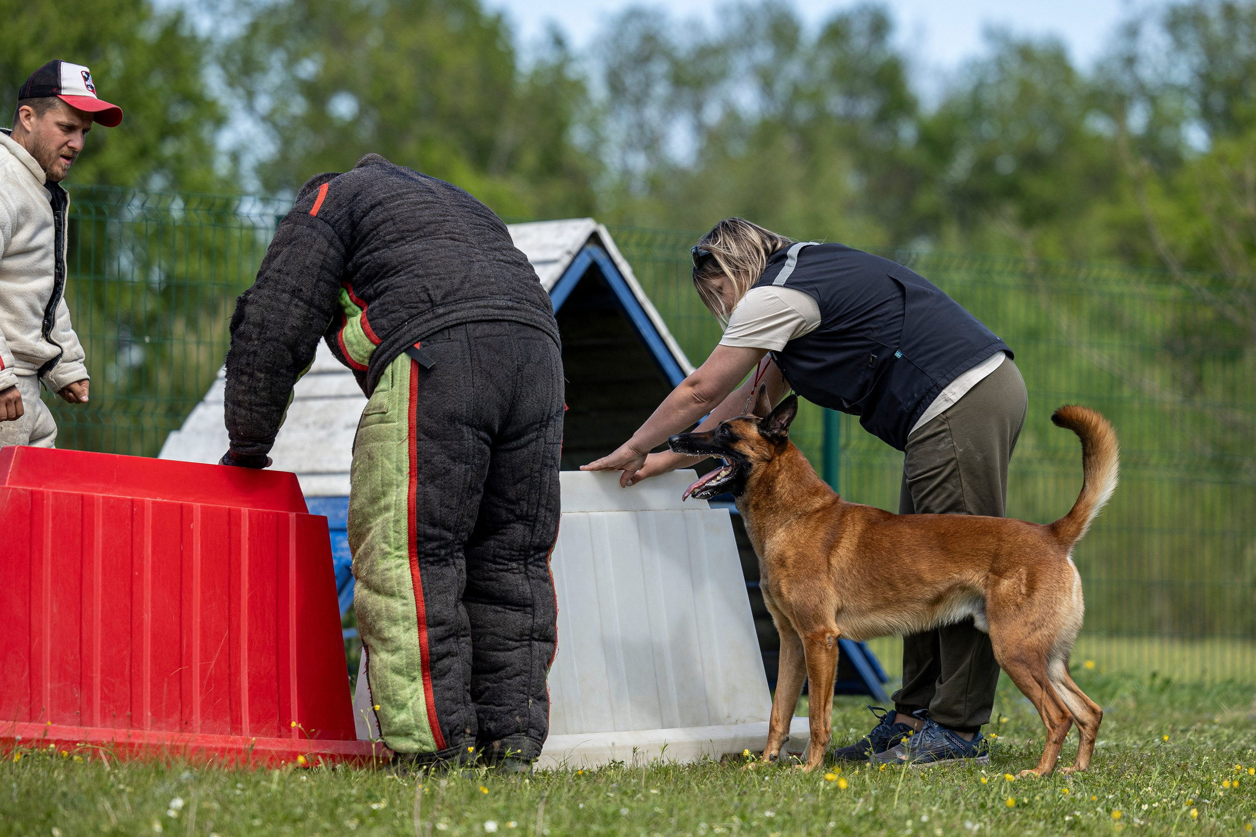 Испытания по мондьорингу в Нижнем Новгороде. Фотограф-анималист Анна Маринич