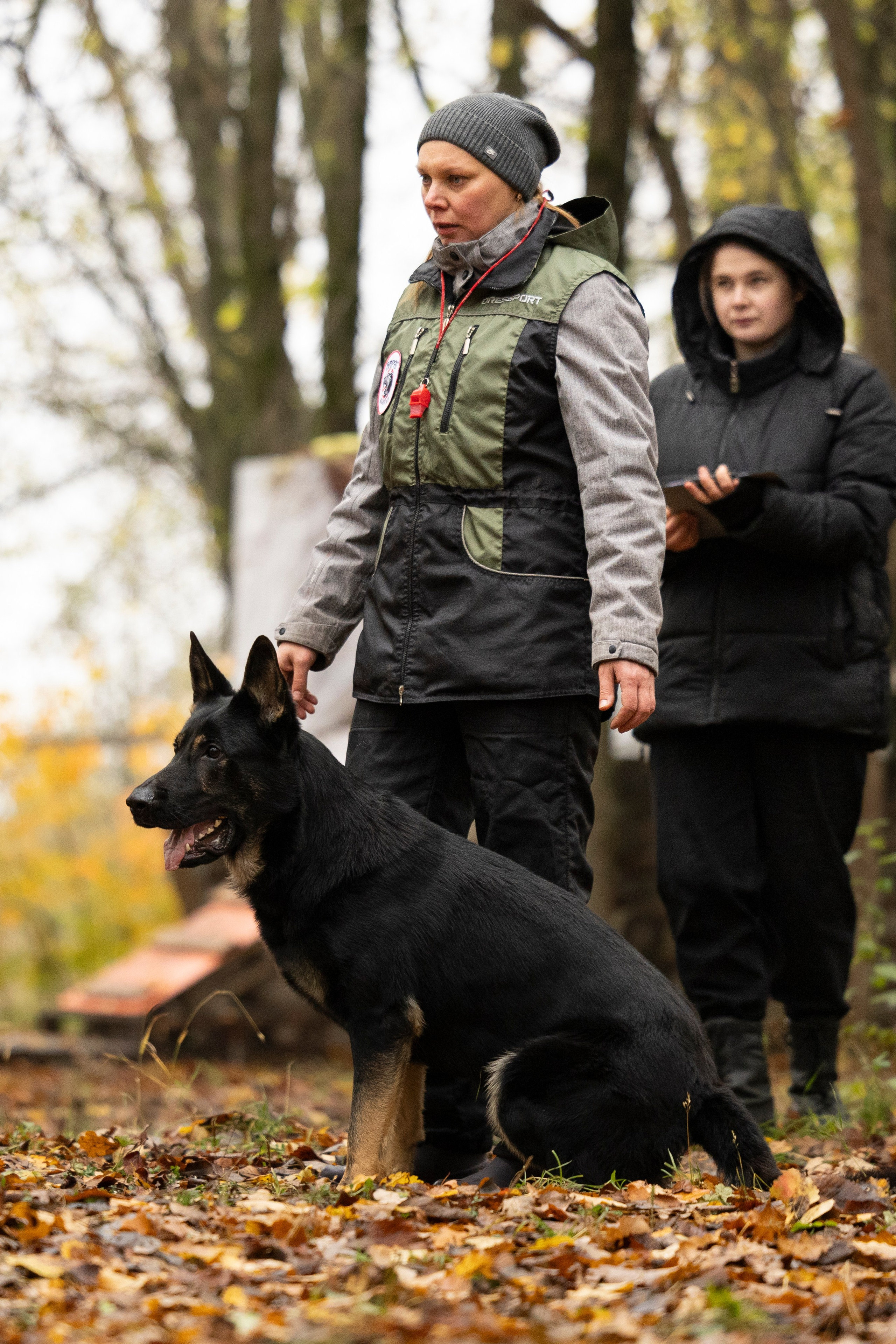 Соревнования по Мондьорингу г. Вологда. Фотограф-анималист Анна Маринич