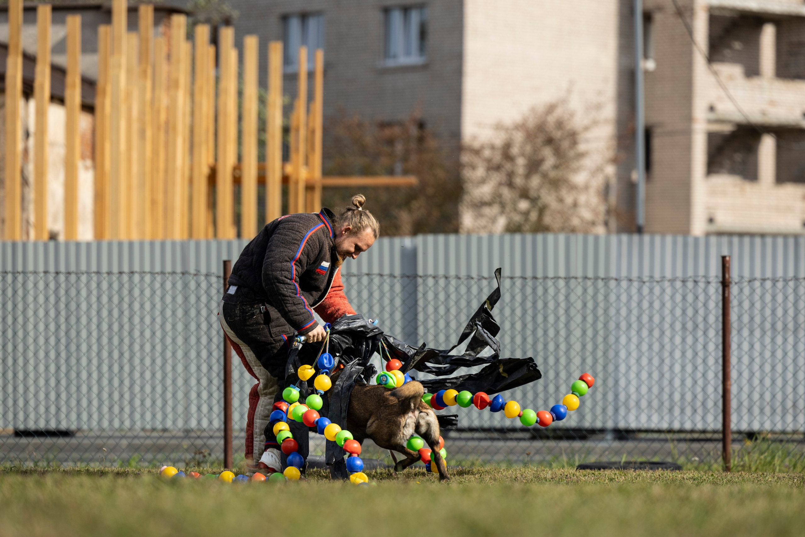 Испытания по Мондьорингу г. Пушкин. Фотограф-анималист Анна Маринич