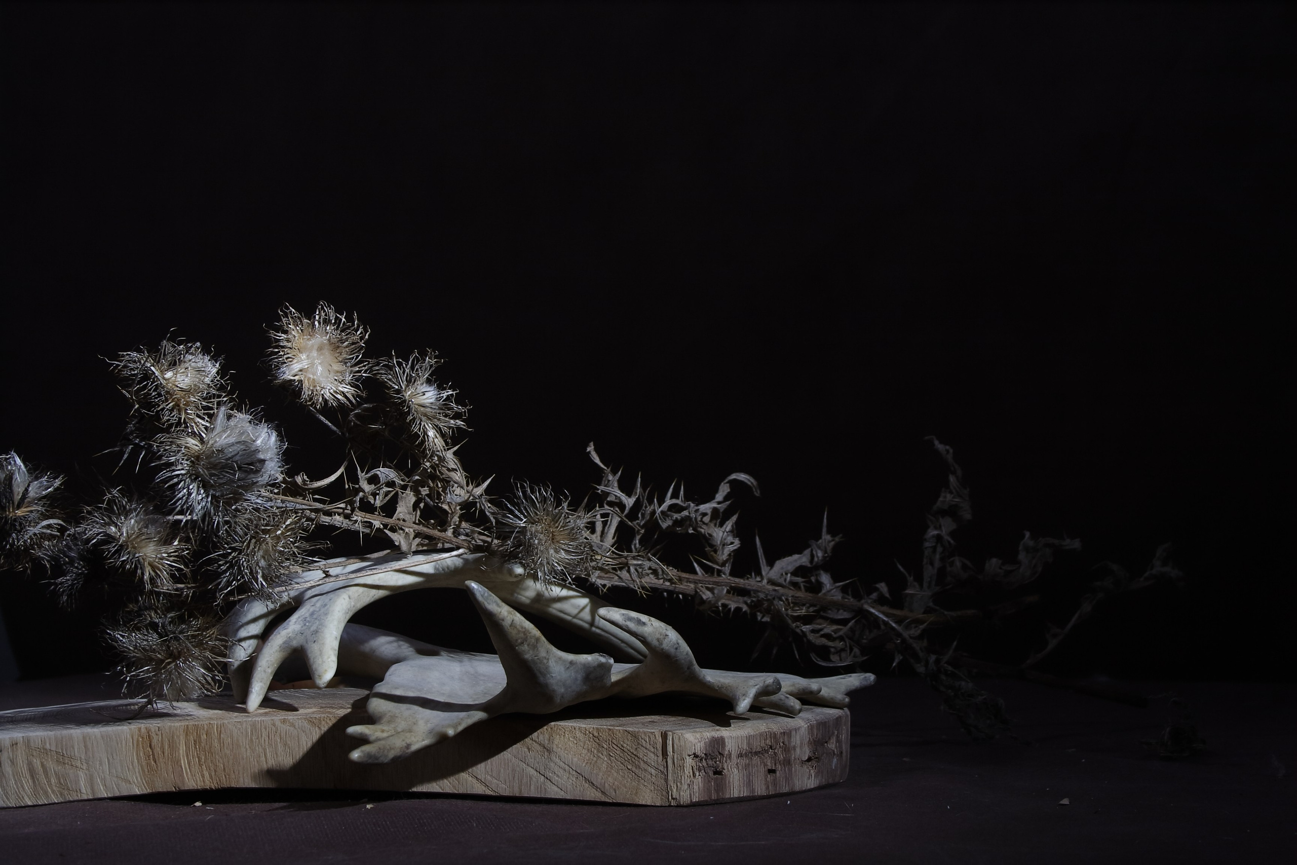 Старое природное, отбирала Katamount (Катерина Горохова). Главная