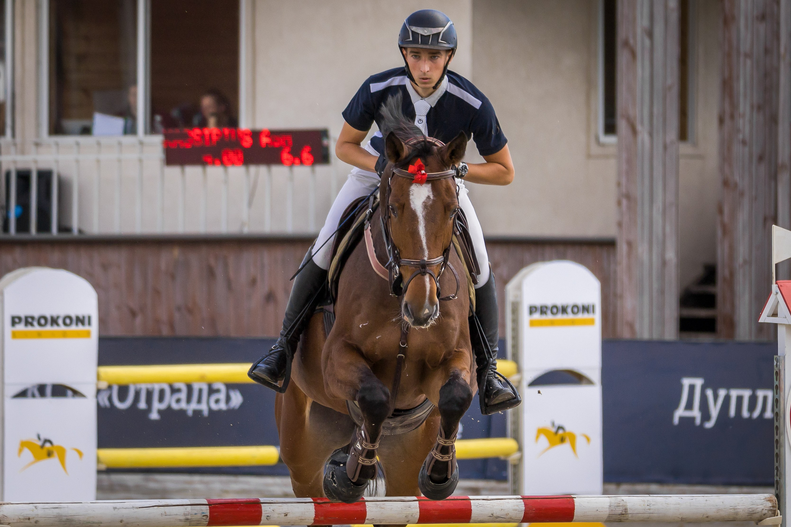 Конный спорт. Photomantis