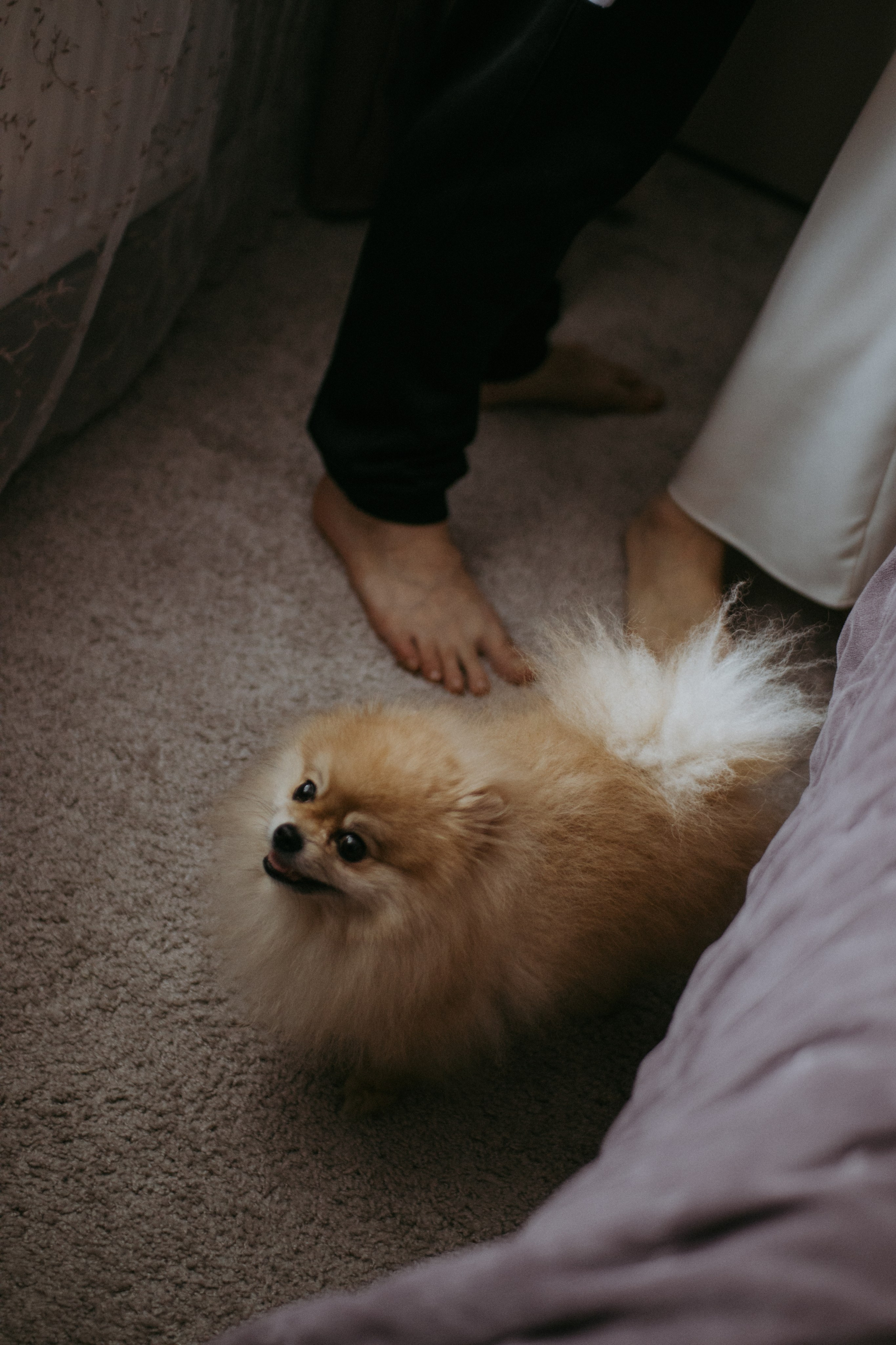 Александра с малышом. Фотограф Тула Полина Терешонкова