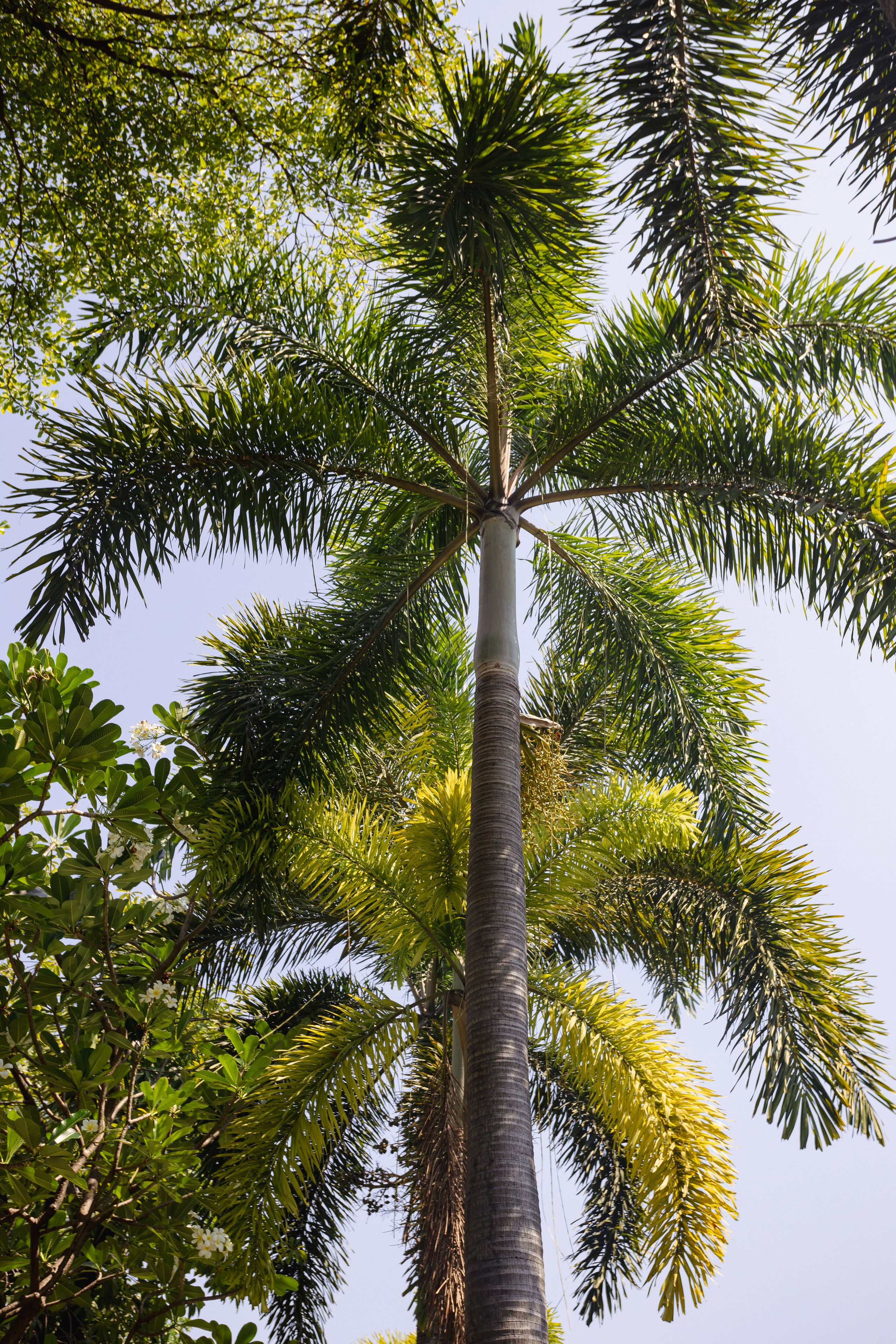 Bangkok. Фотограф Сонкина Татьяна