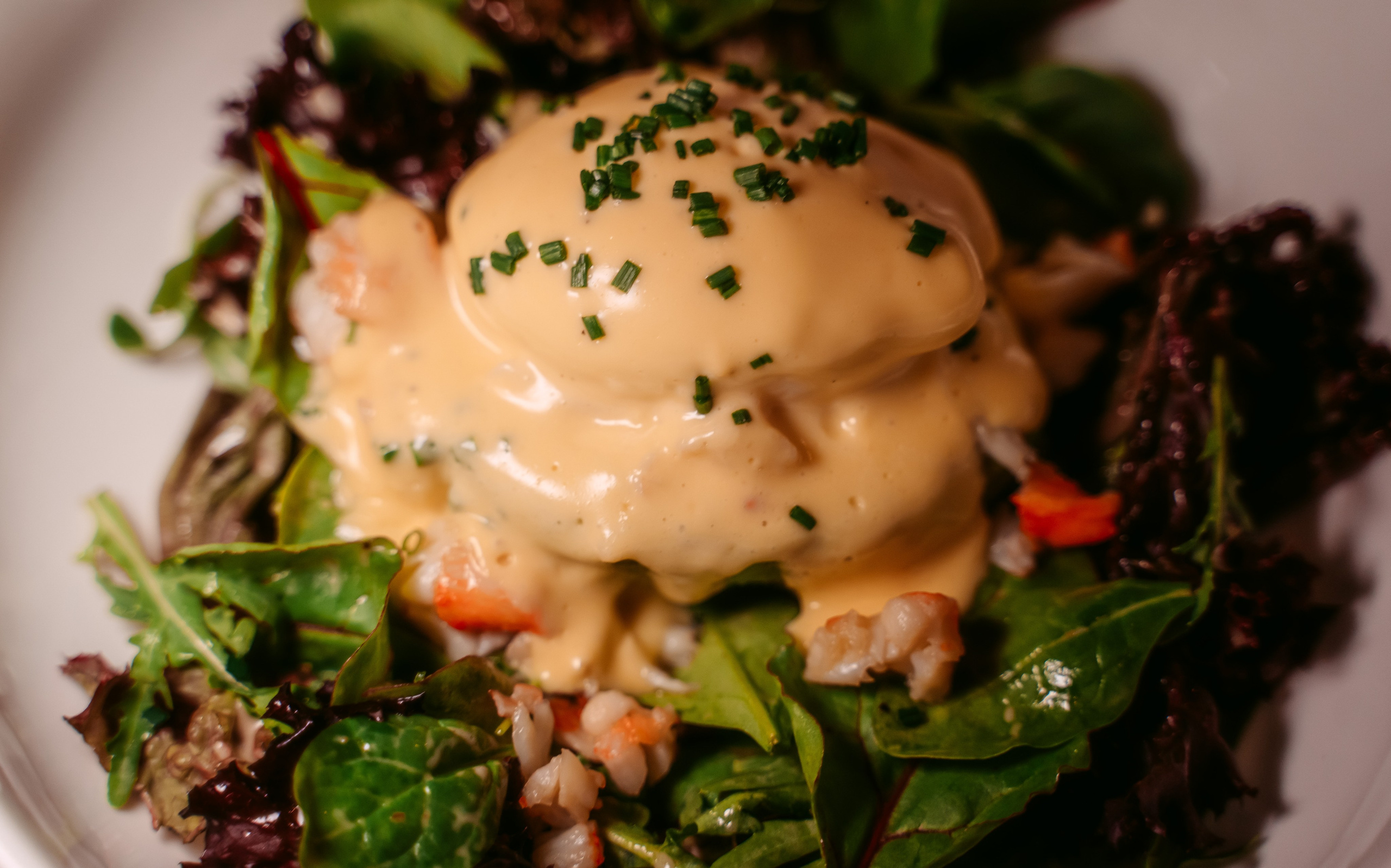 Avocado Queen / сеть ресторанов в Москве и Казани. Саша Копылов, фотограф в Казани