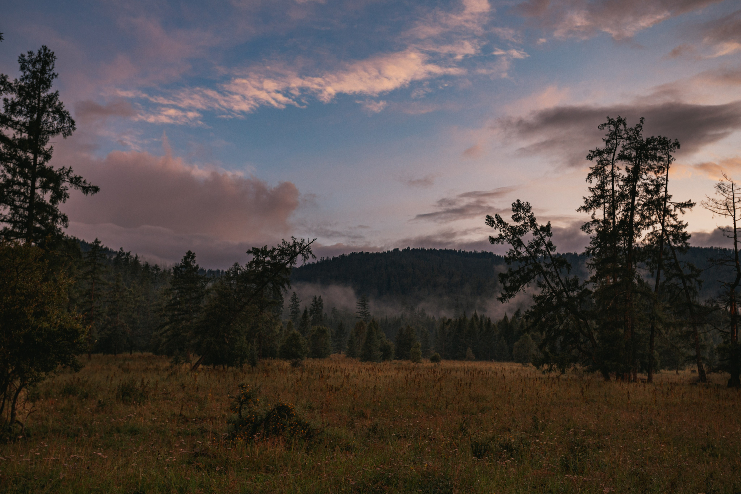 Катунский заповедник, Республика Алтай. Репортажный фотограф в Крыму Ксения Гасица