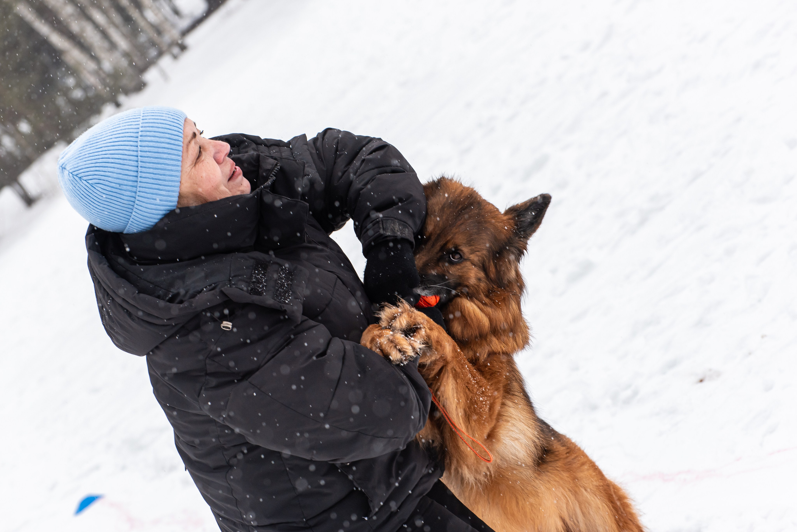Фотосъёмка с собаками в Кинологическом лагере. Фотограф Макс Огурцов в Нижнем Новгороде
