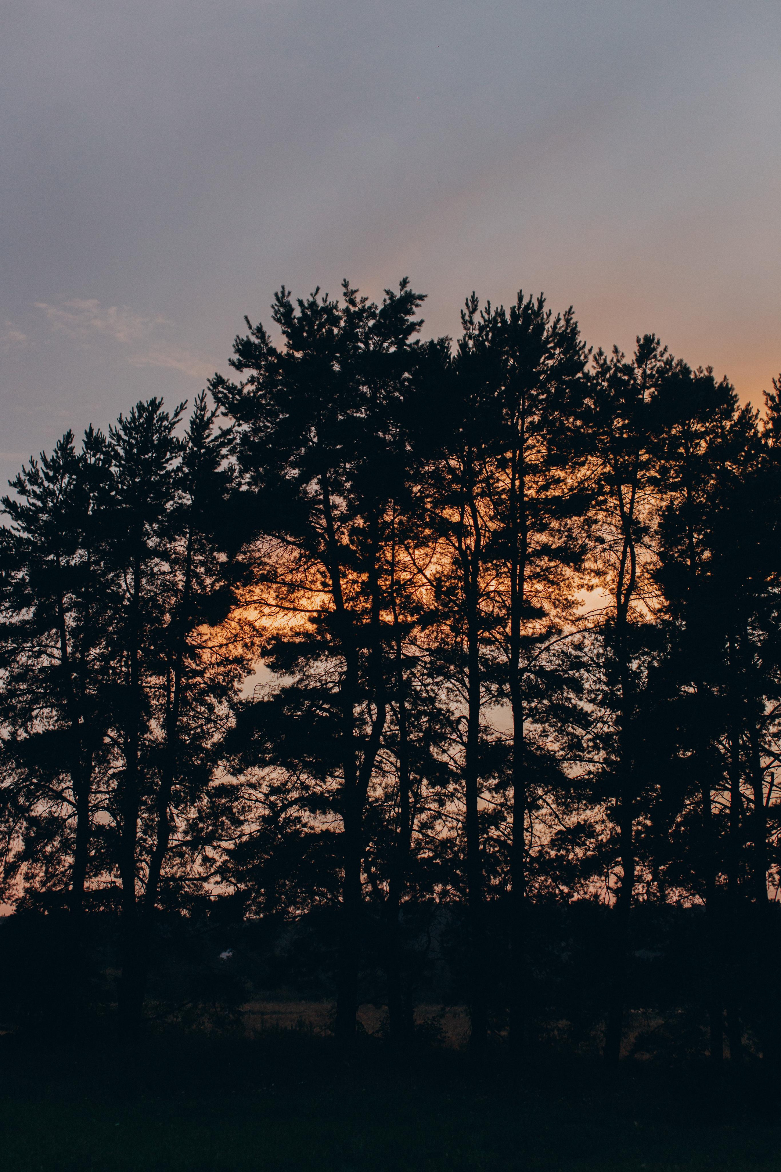 Святослав и Анна. Профессиональная видео и фото съёмка в Калуге и области
