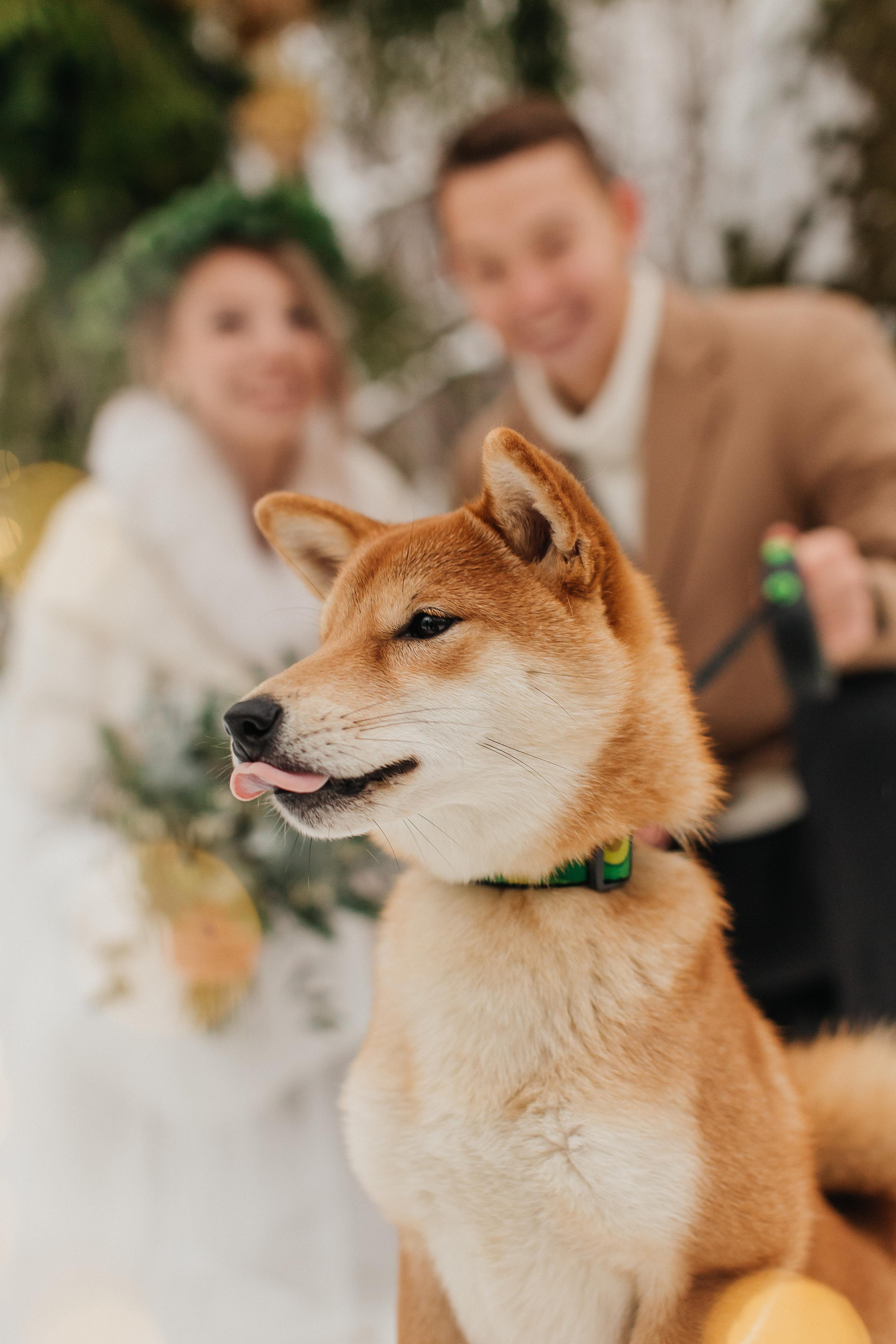 Фёдор и Влада. Профессиональная видео и фото съёмка в Калуге и области