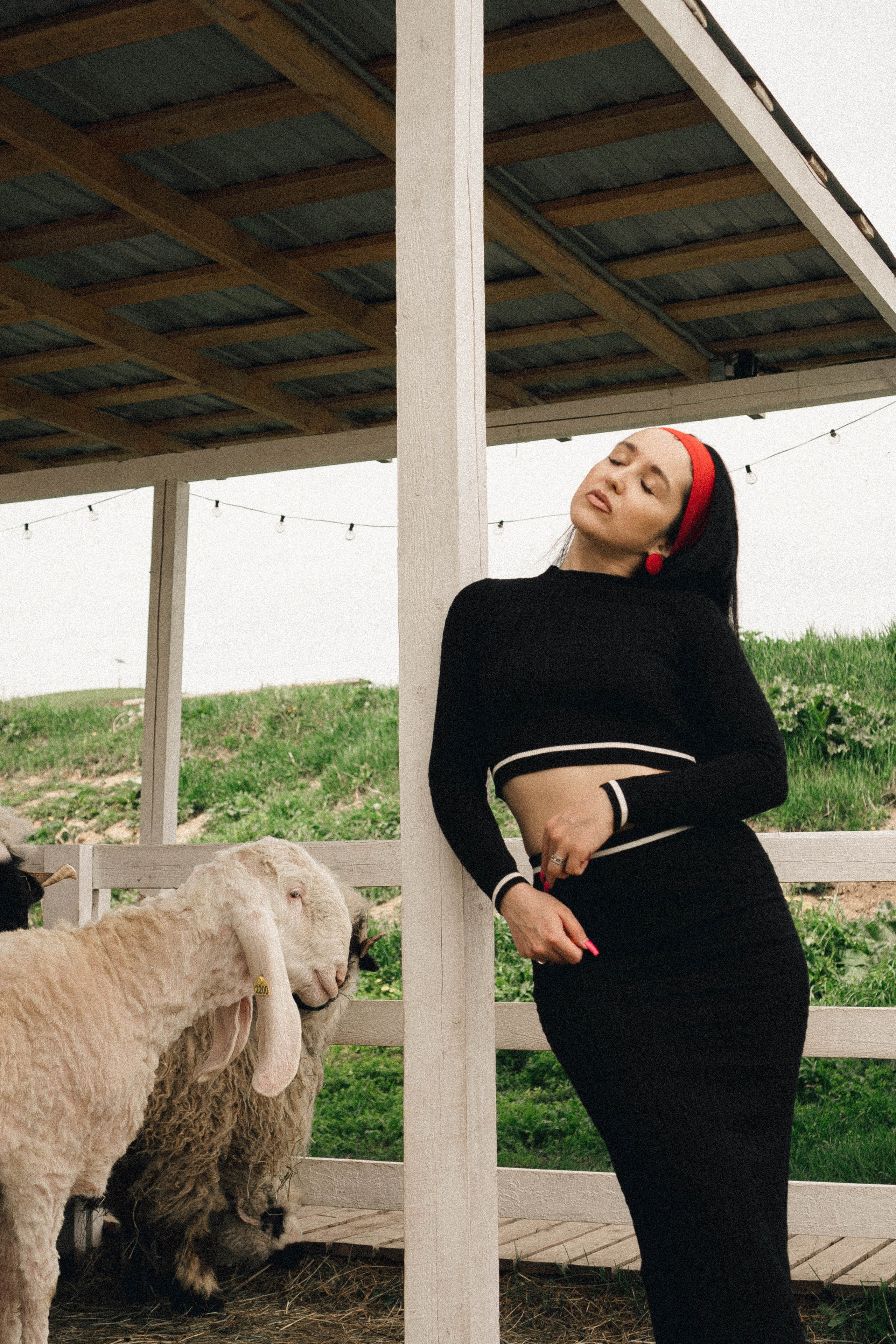 Ферма Альпак. Профессиональный фотограф, Санкт-Петербург — Виктория Богомолова