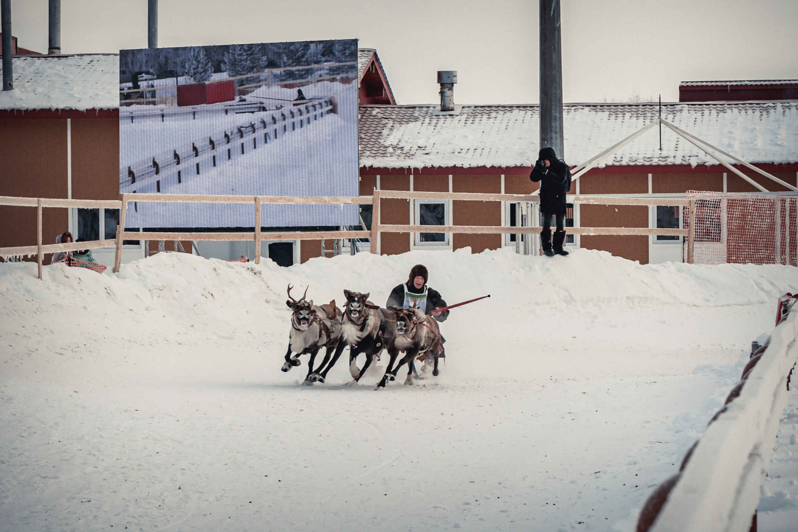 Конкурс оленеводов. Фотограф в Ханты-Мансийске Евгений Жуланов