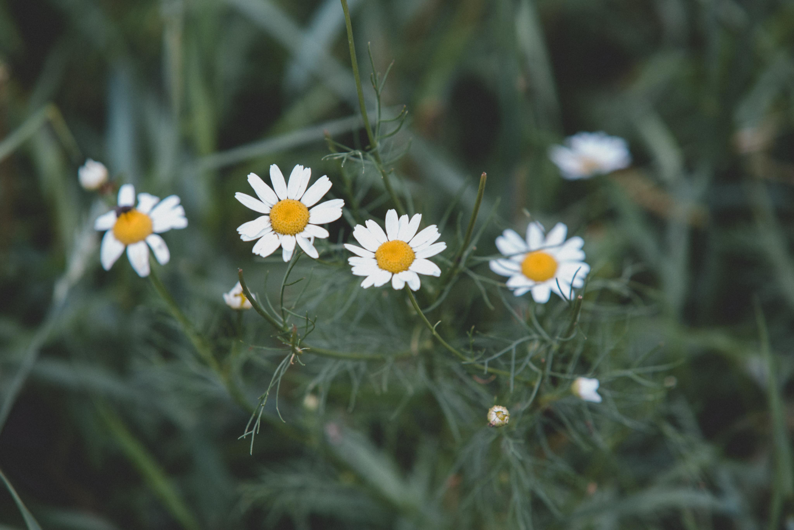 Коллекция пейзажных фотографий. Photographer Sonkina Tatiana (Tanya Ash)