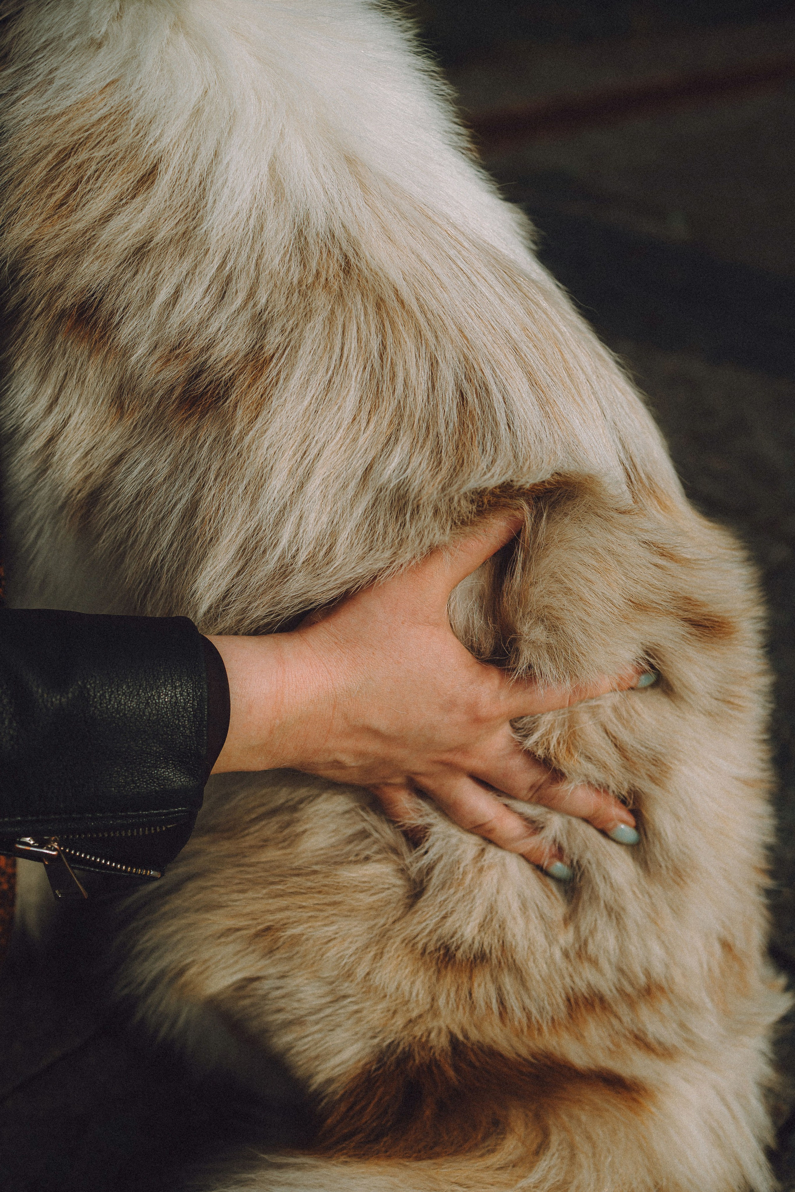 Один и его семья