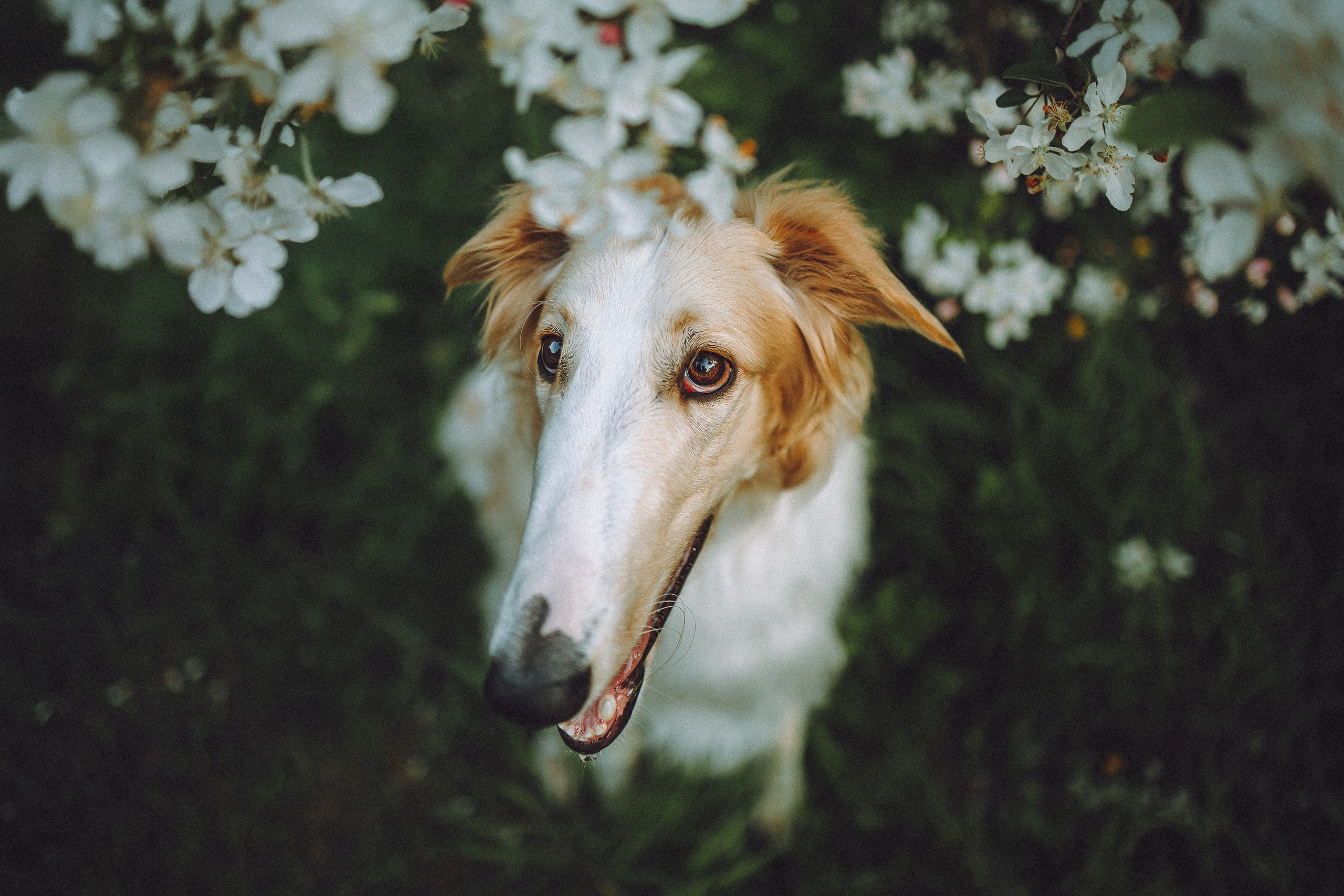 Илай, Зайка и их семья
