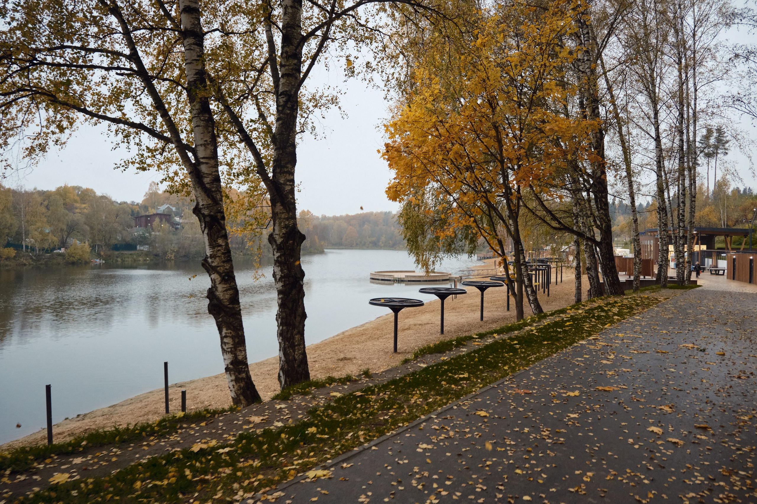Парк Синичка | Красногорск. Фотографъ Сергѣевъ. Поймать мгновеніе