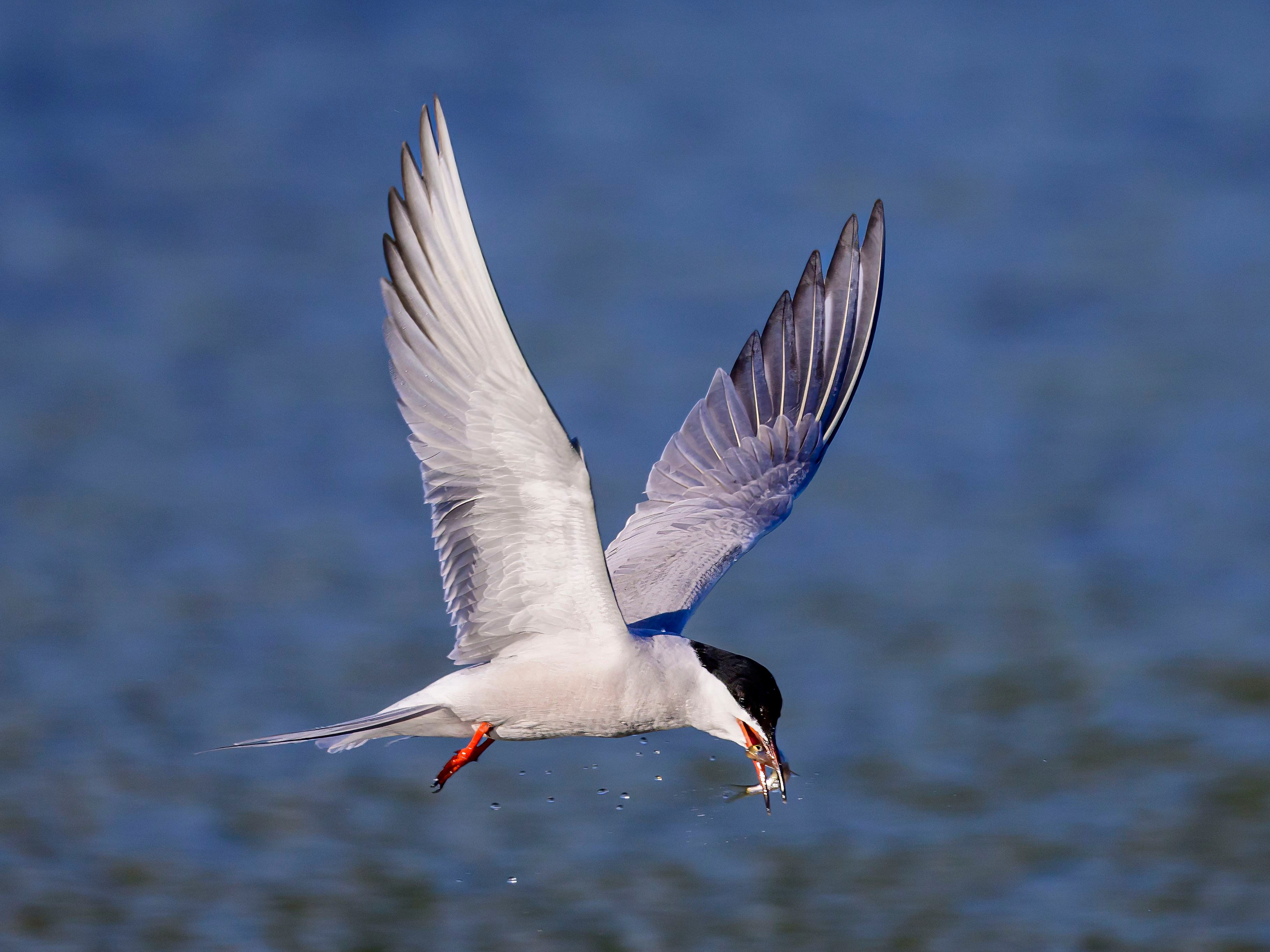Дмитров. Фотограф Сергей Пупонин