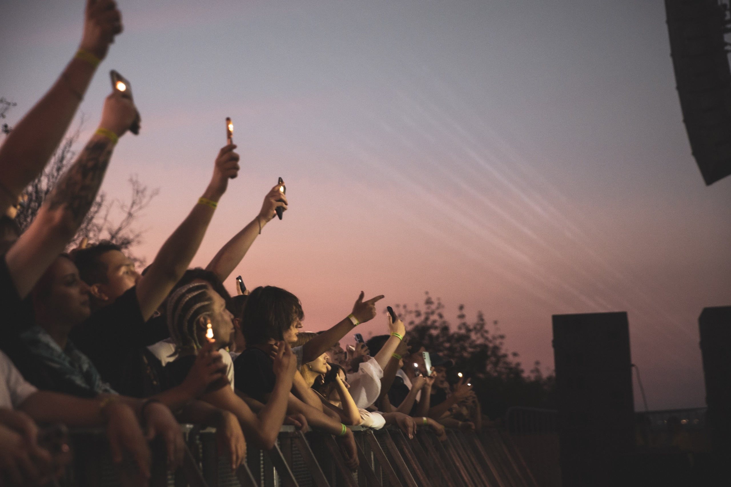 Saluki. Фотограф Нижний Новгород — Дмитрий Грехов