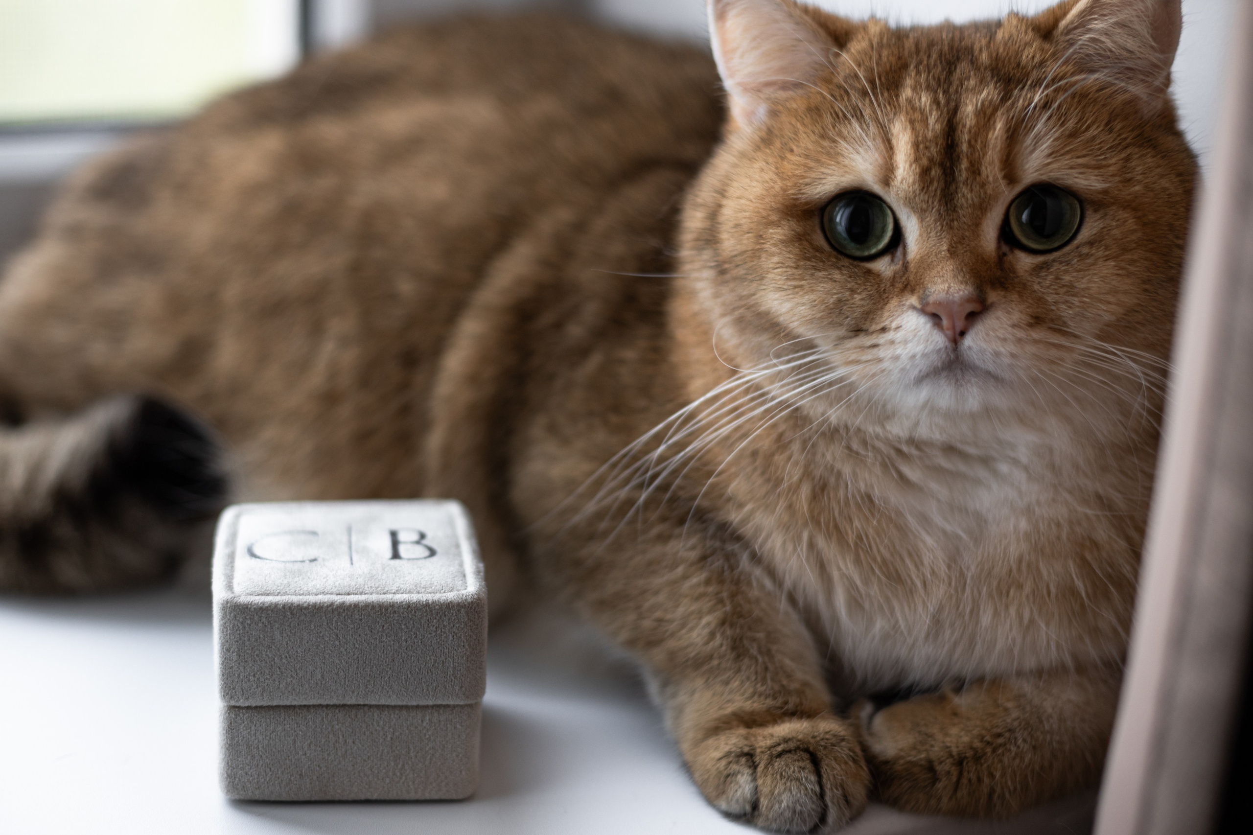 Свадебный фотограф москва, свадебная серия, фотосерия свадьба, свадьба пример, фотограф свадебный, фотограф москва, фотограф гладков дмитрий, свадебная съёмка, свадебная фотосессия, фотосессия свадьба, свадьба москва, стоимость свадебного фотографа, свадебное фото, фотограф свадьба москва, свадебный фотограф цена, фотограф одинцово, свадебная фотосессия