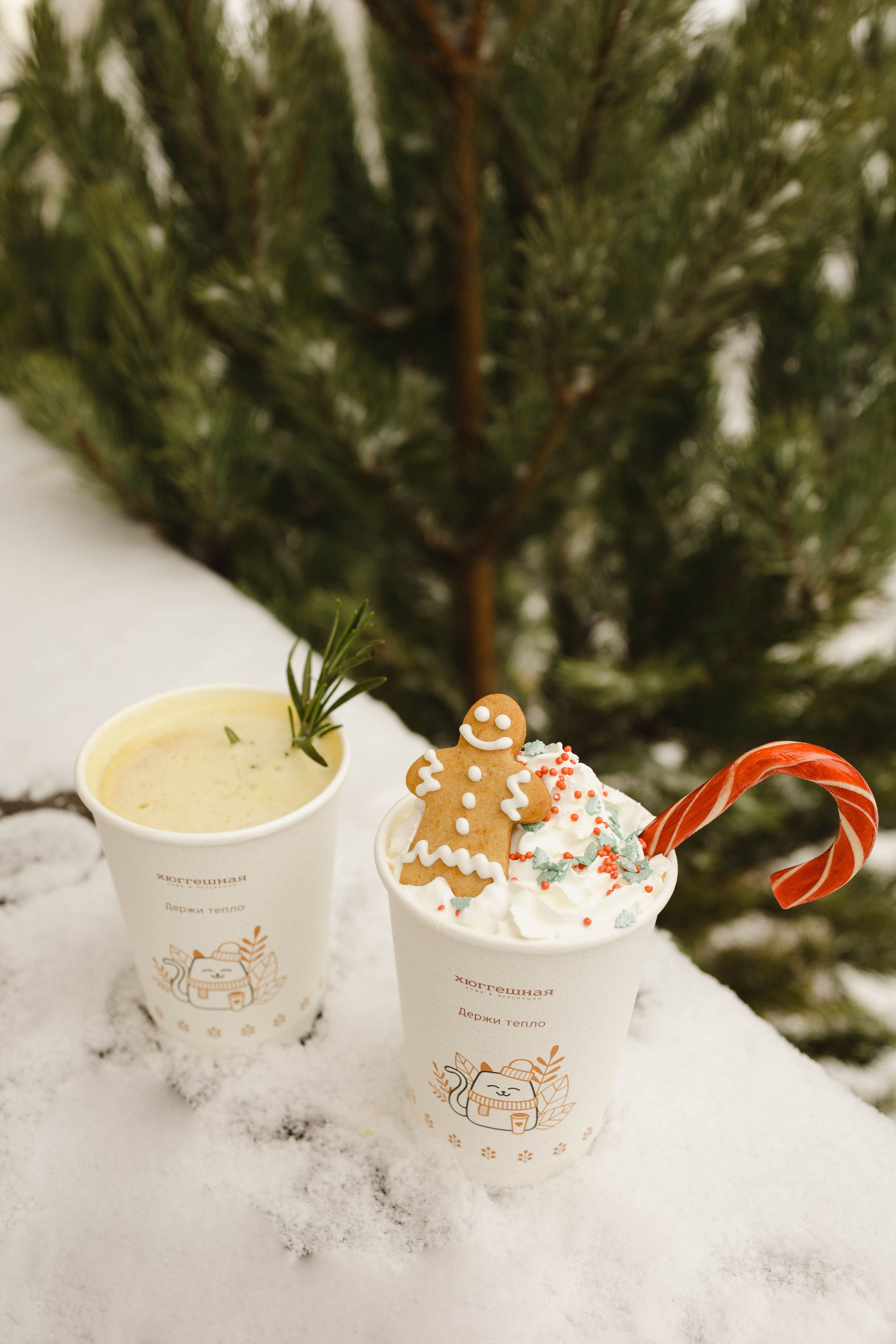 Зимняя Hyggeshnaya. Фотограф Ирина Гринько Тольятти Самара Москва