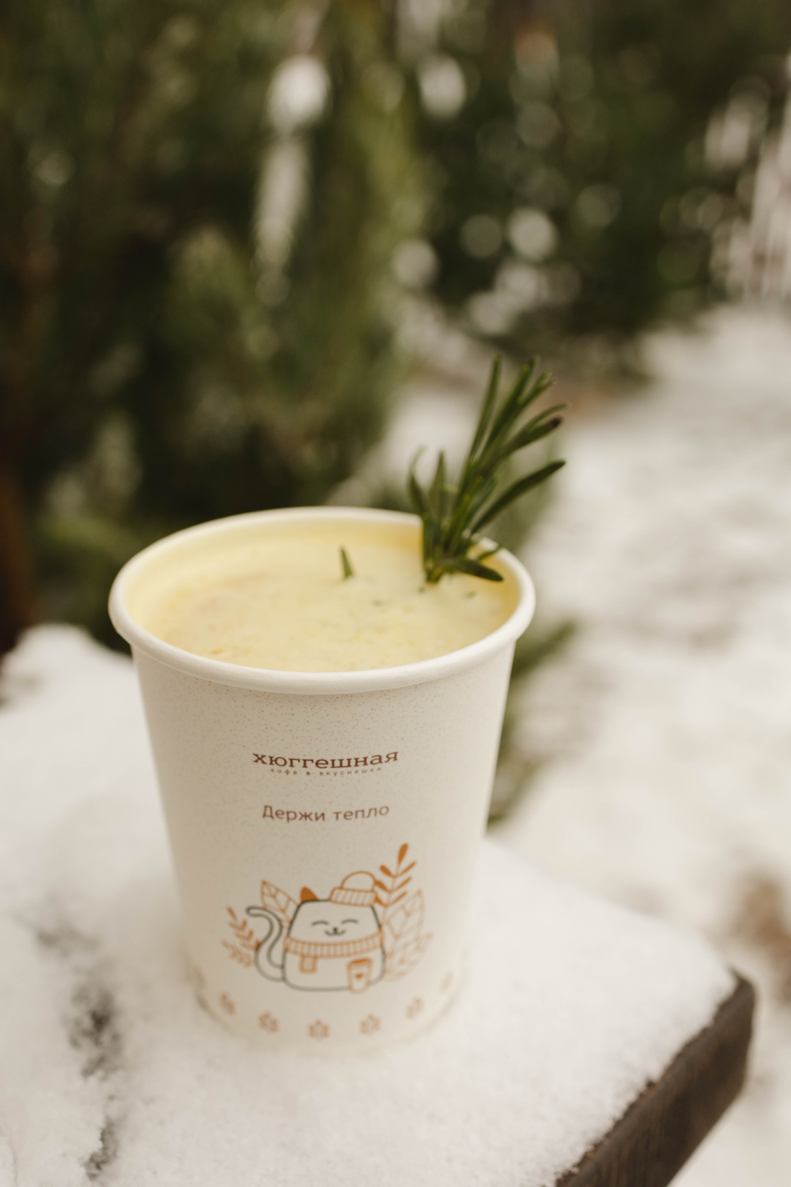 Зимняя Hyggeshnaya. Фотограф Ирина Гринько Тольятти Самара Москва